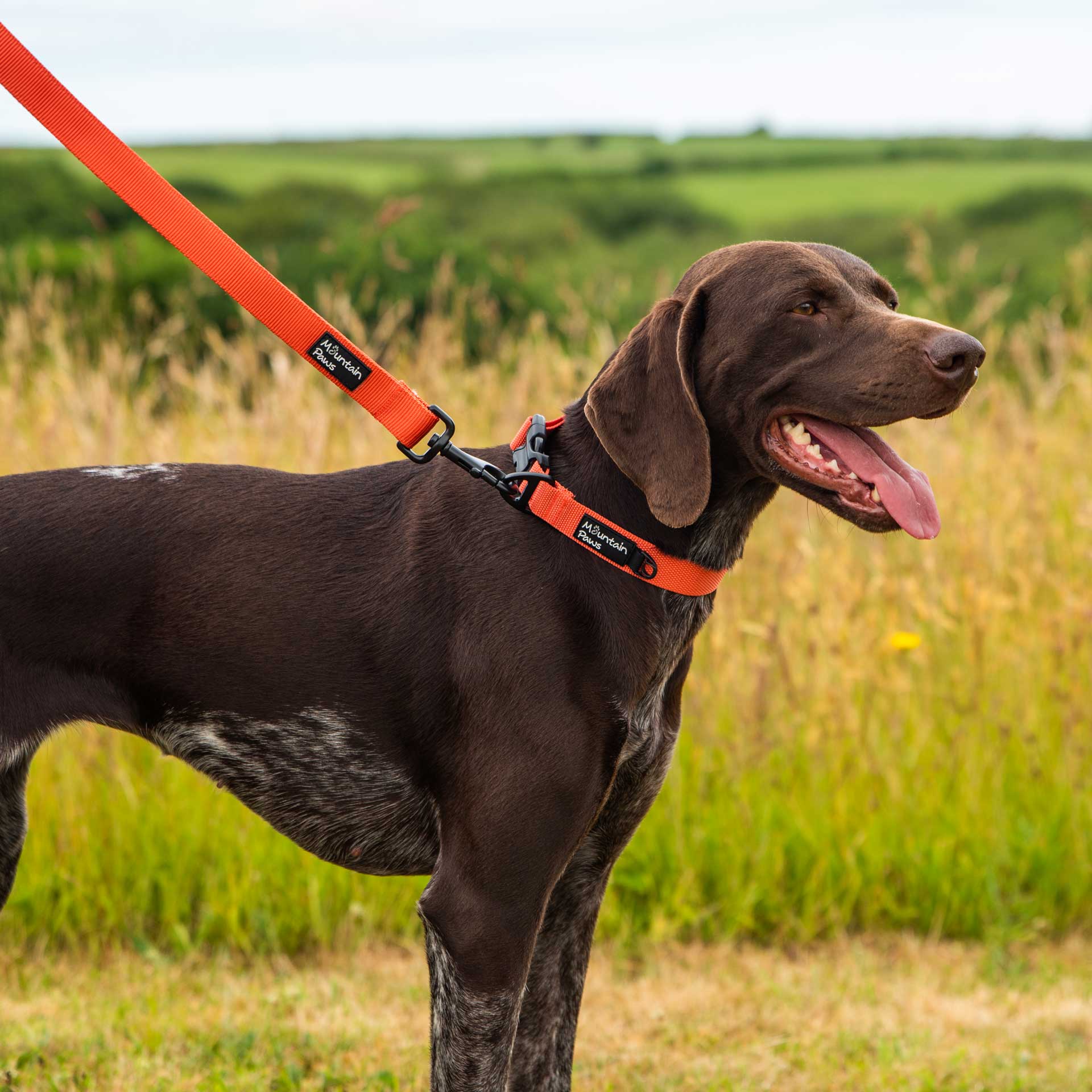 Extra Tough Dog Lead