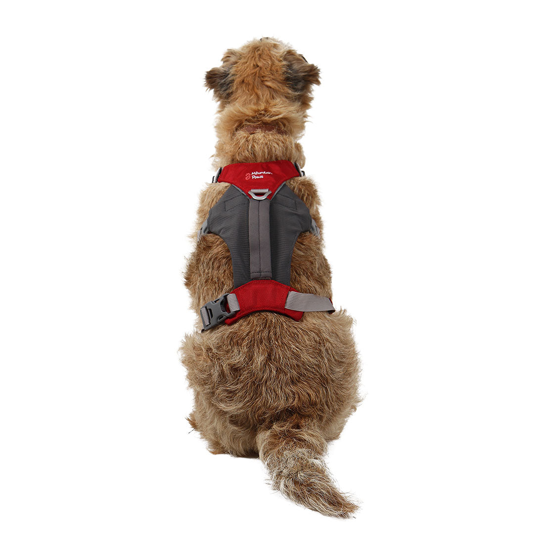 Dog Hiking Harness (Large)