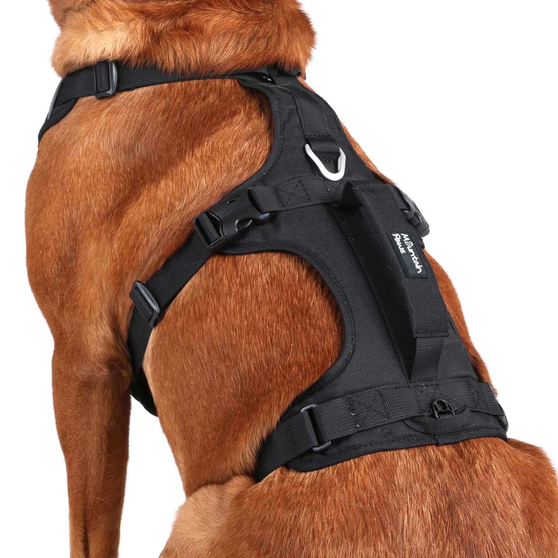 3 Strap Dog Harness