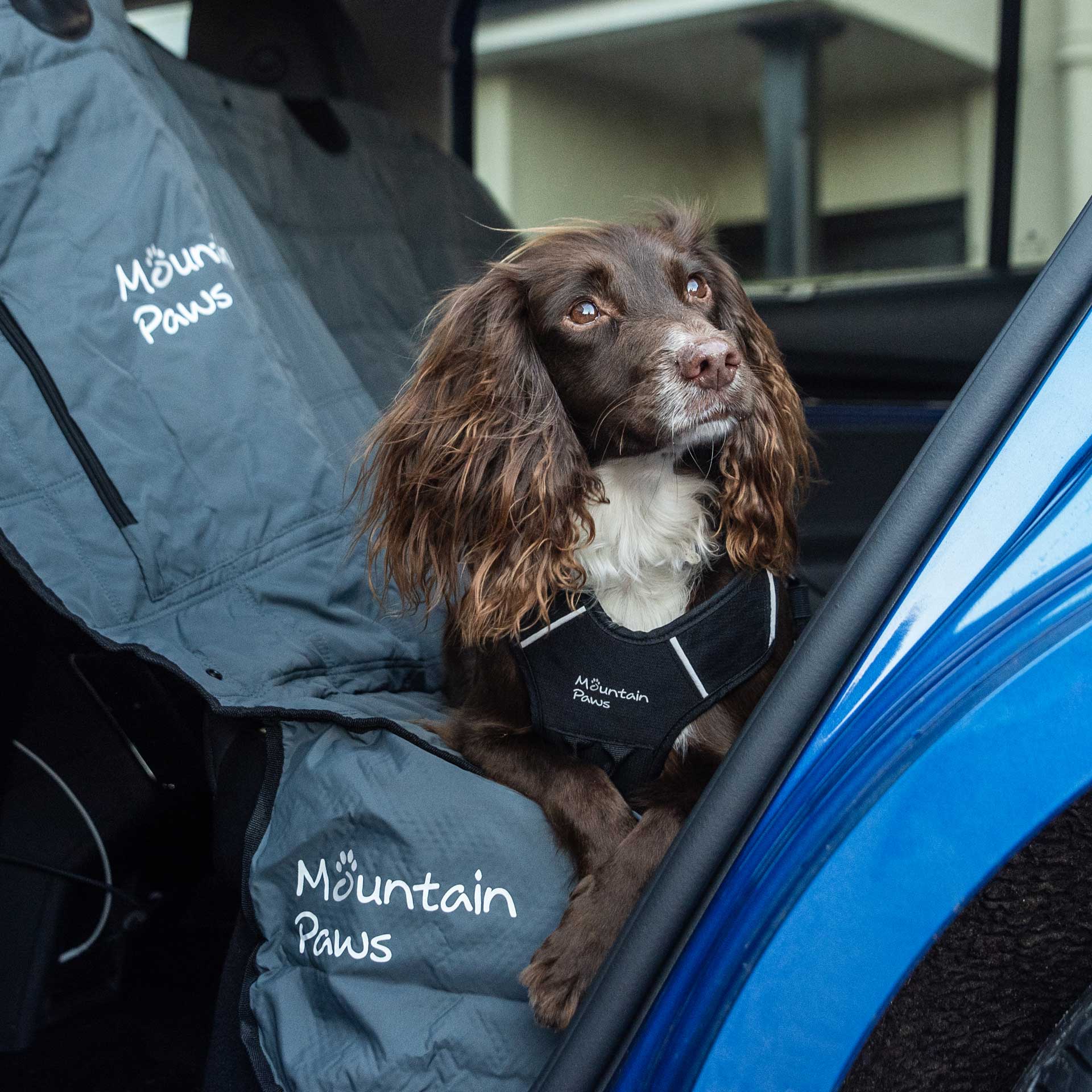 Dog Car Back Seat Cover