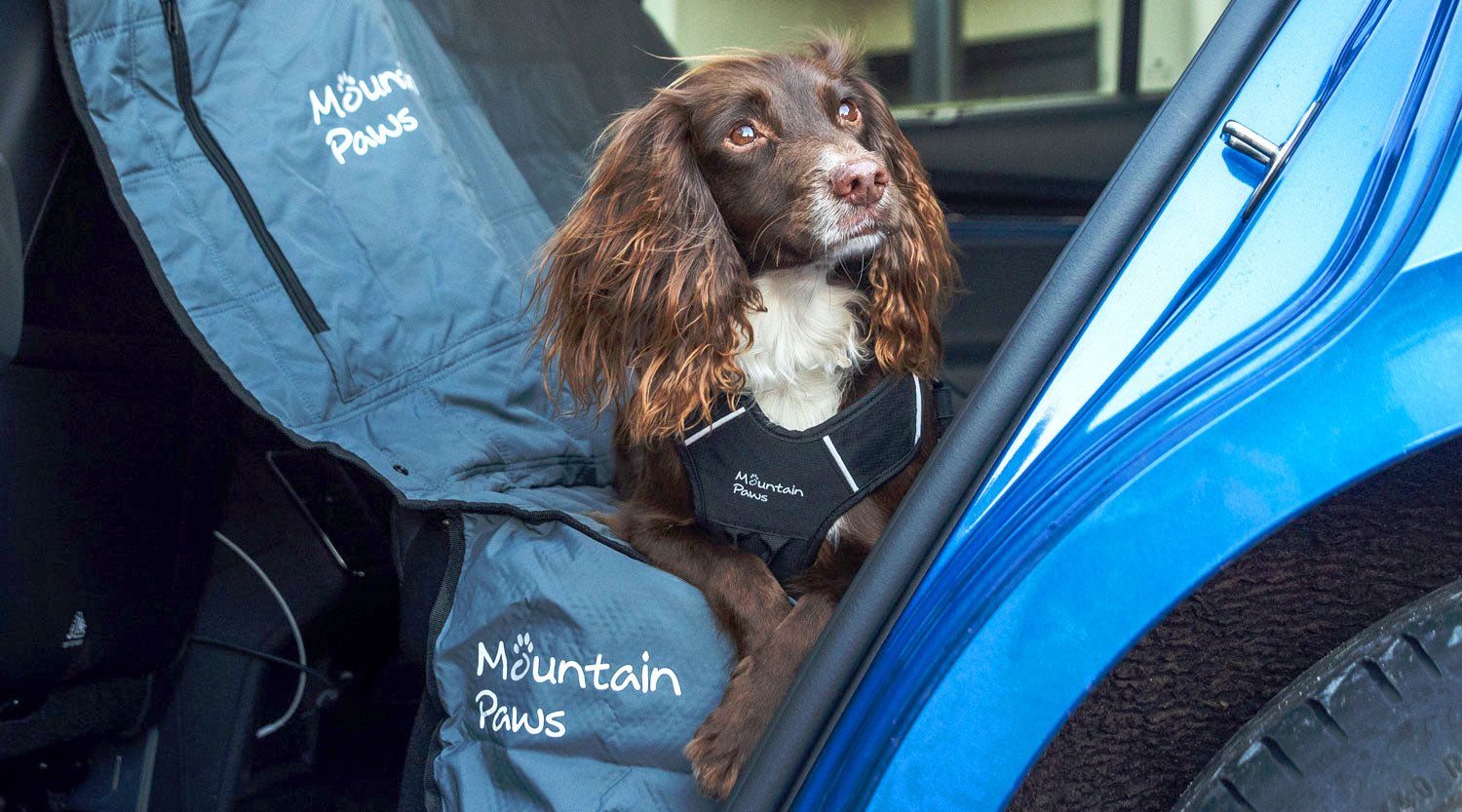 Dog Car Back Seat Cover