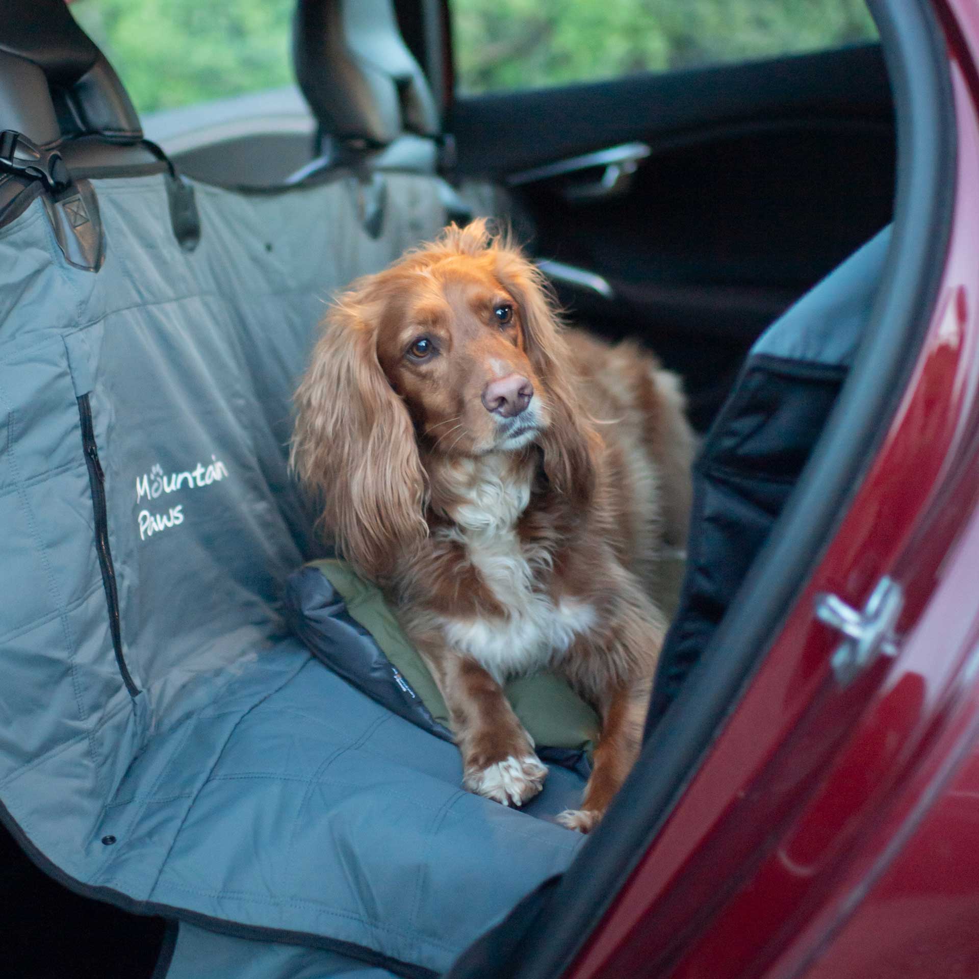 Travel Dog Bed