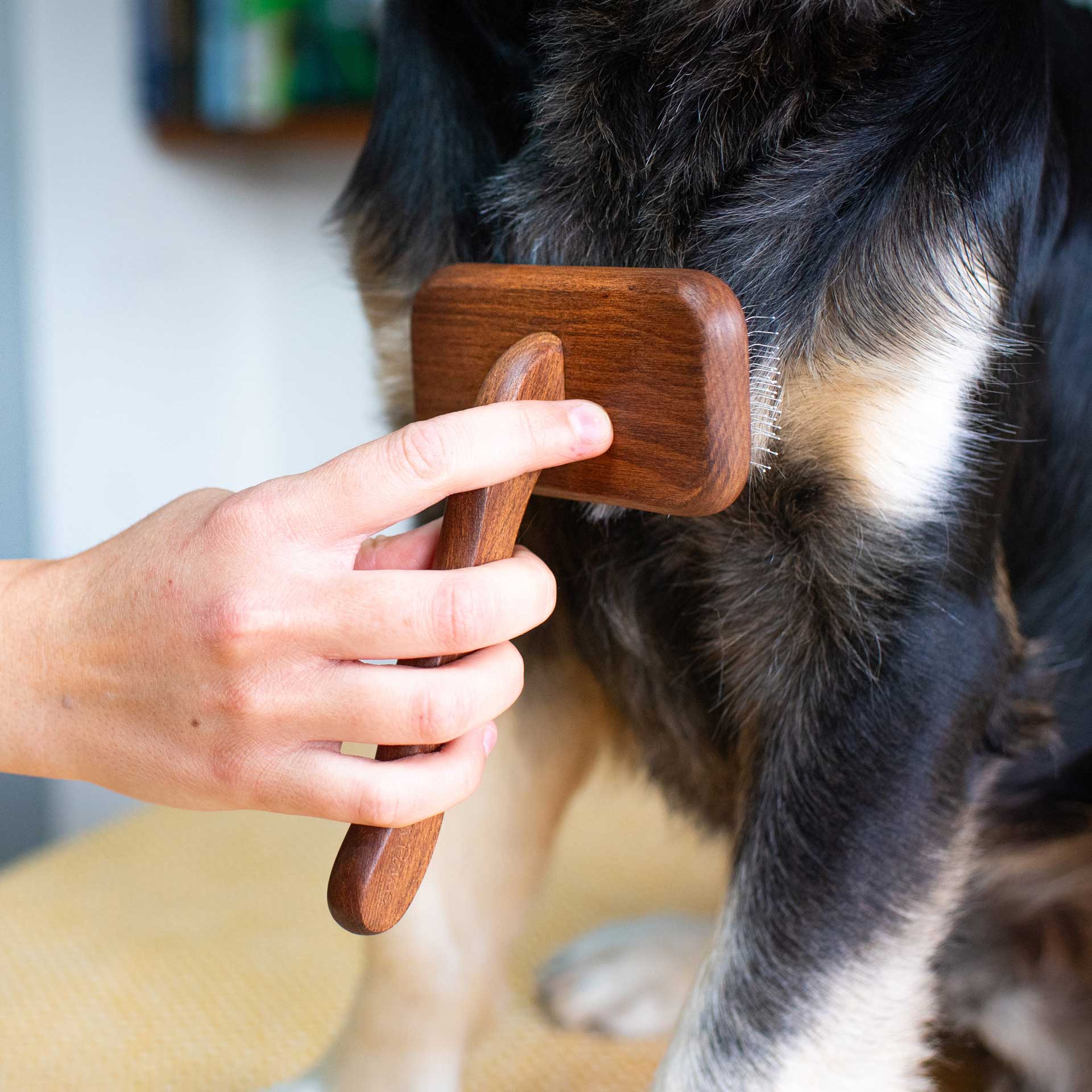 Pin Dog Brush