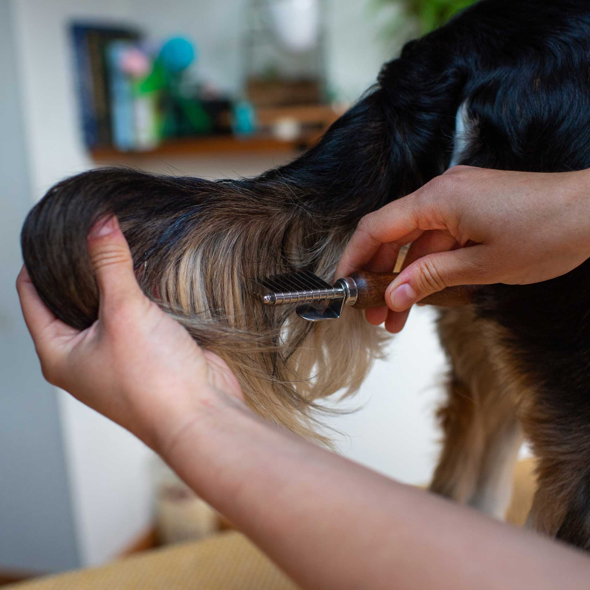 De-Matting Comb