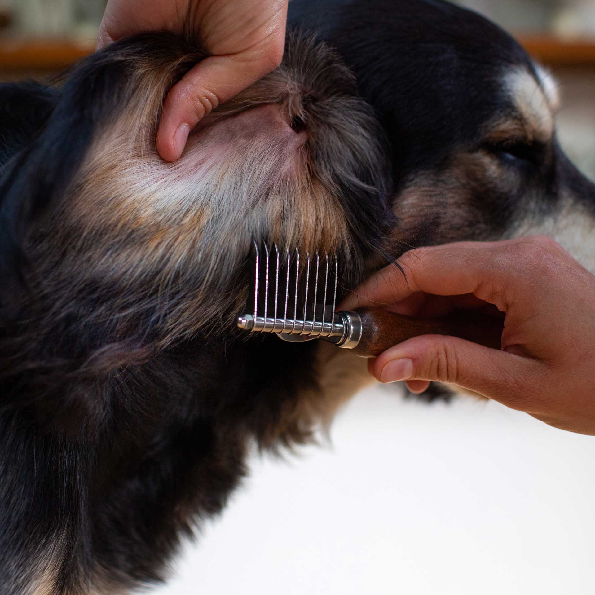 De-Matting Comb