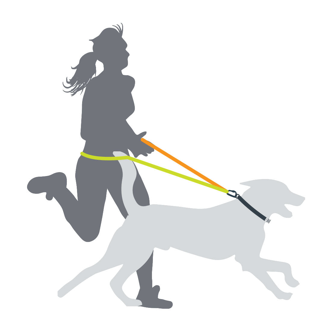 Bungee Dog Lead