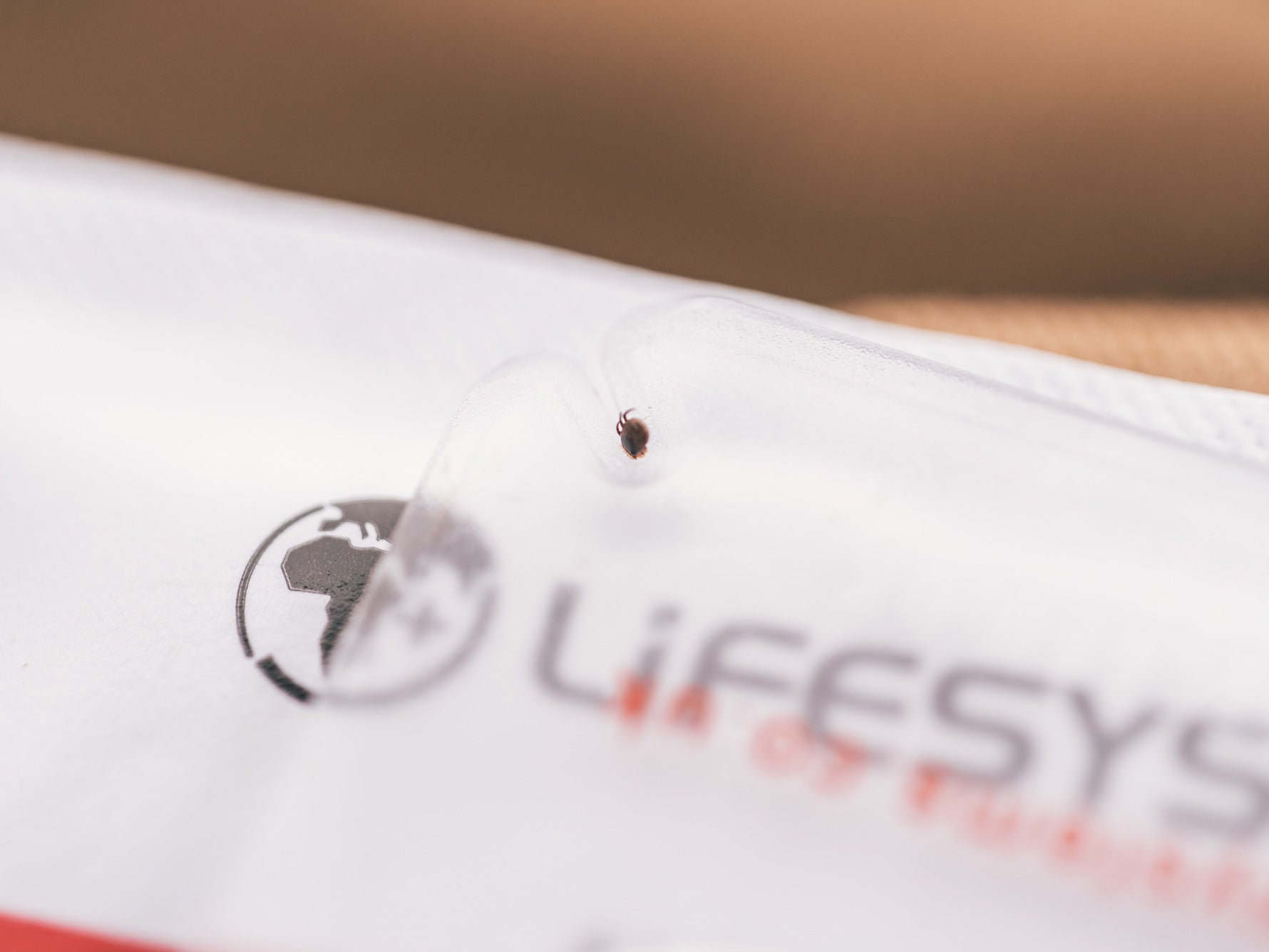 Tick on a tick removal card