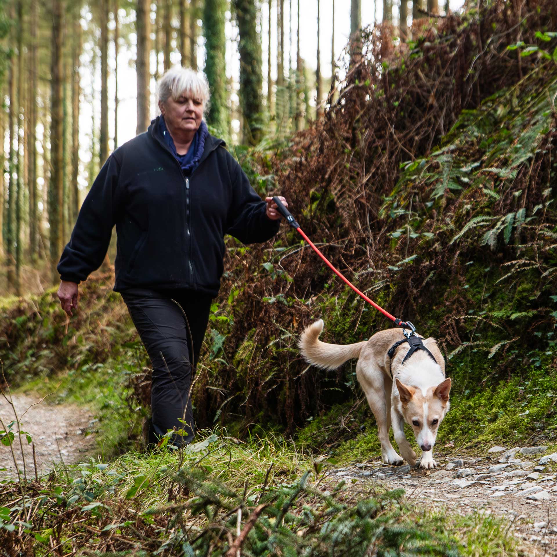 Rope Dog Lead - variant[Orange]