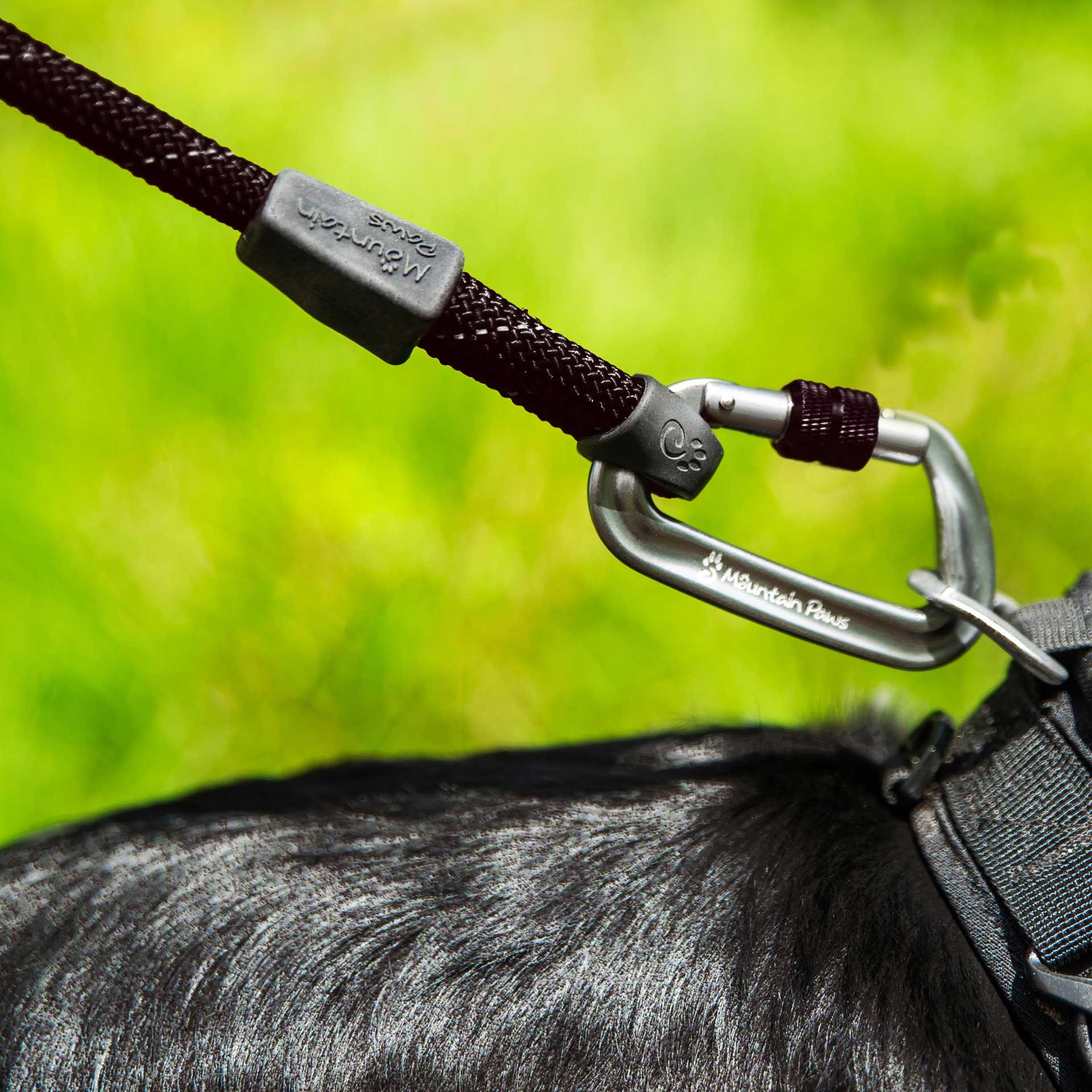 Rope Dog Lead | Climbing Rope Dog Leads | Mountain Paws