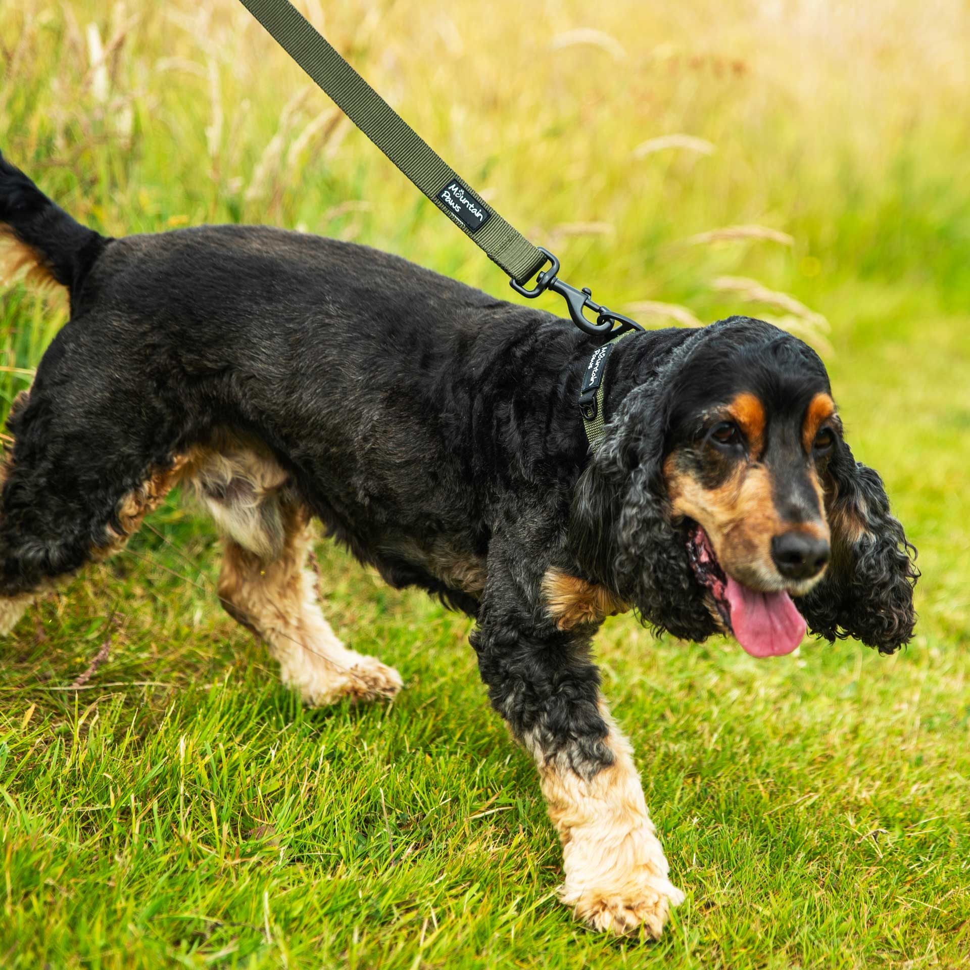 Extra Tough Dog Lead