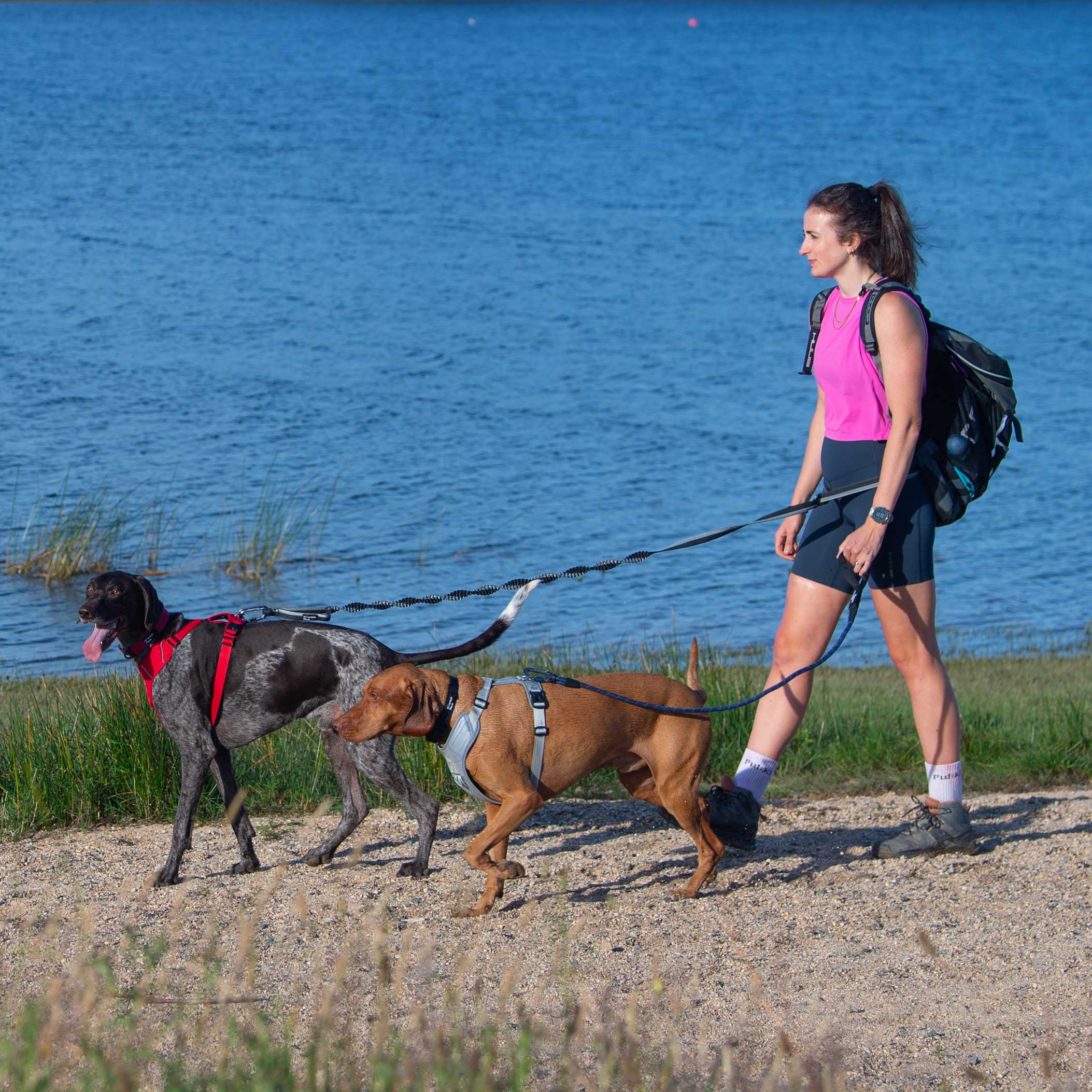Shock Absorber Dog Lead