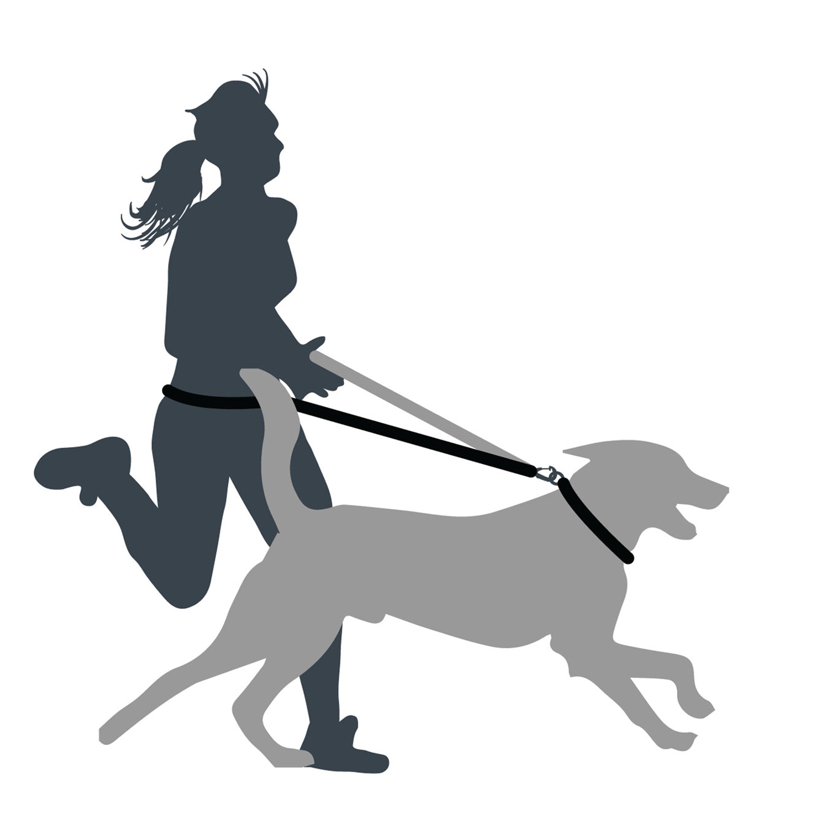 Shock Absorber Dog Lead