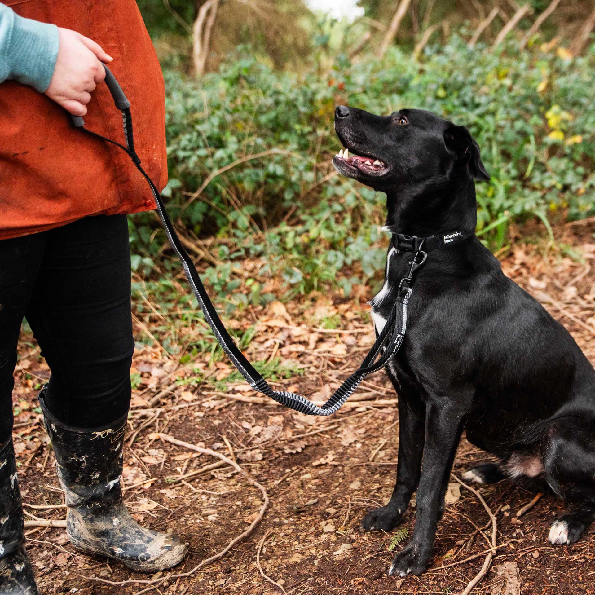 Stretch Dog Lead | Dog Leash | Mountain Paws