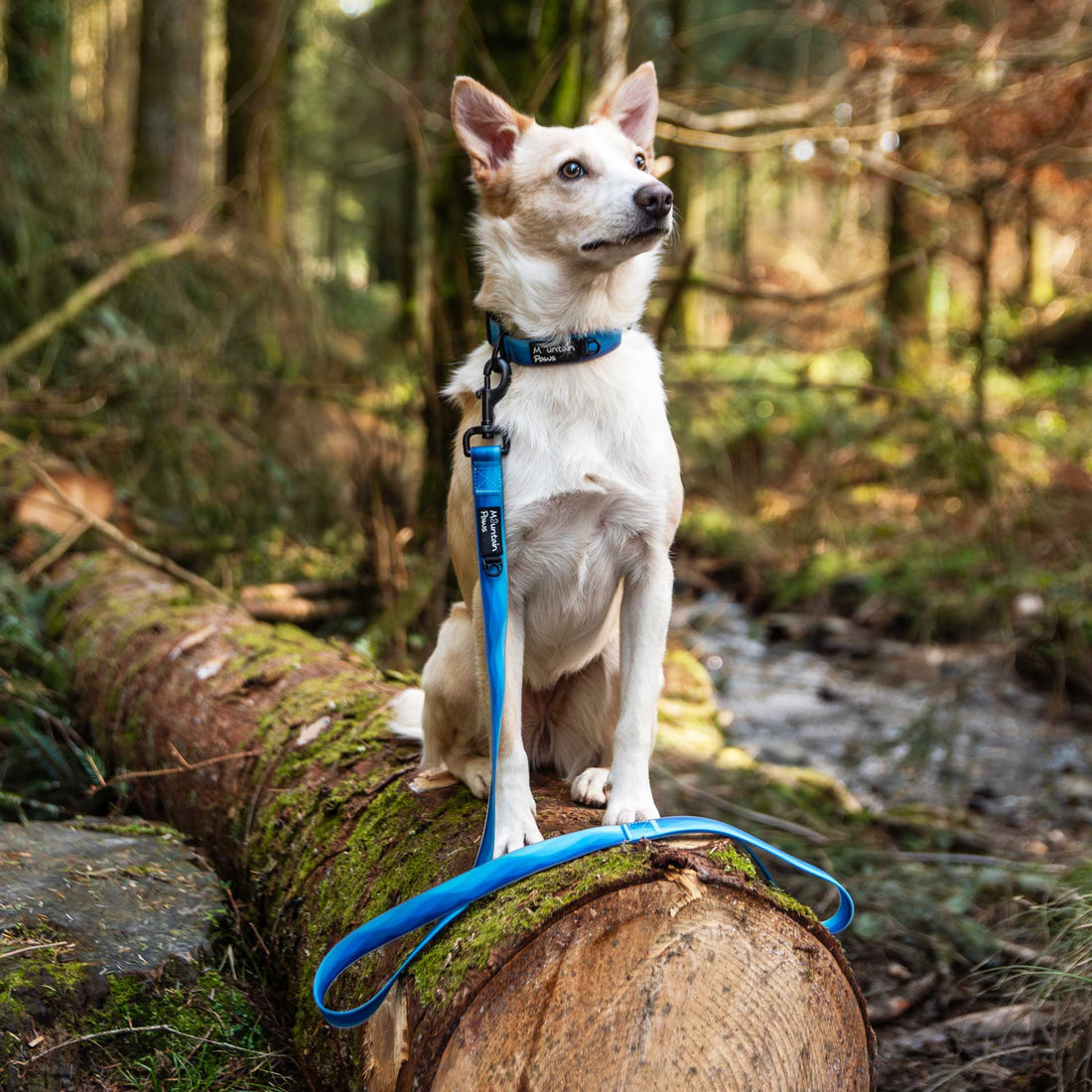 Mountain Paws 115cm Extra Tough Dog Lead - Navy