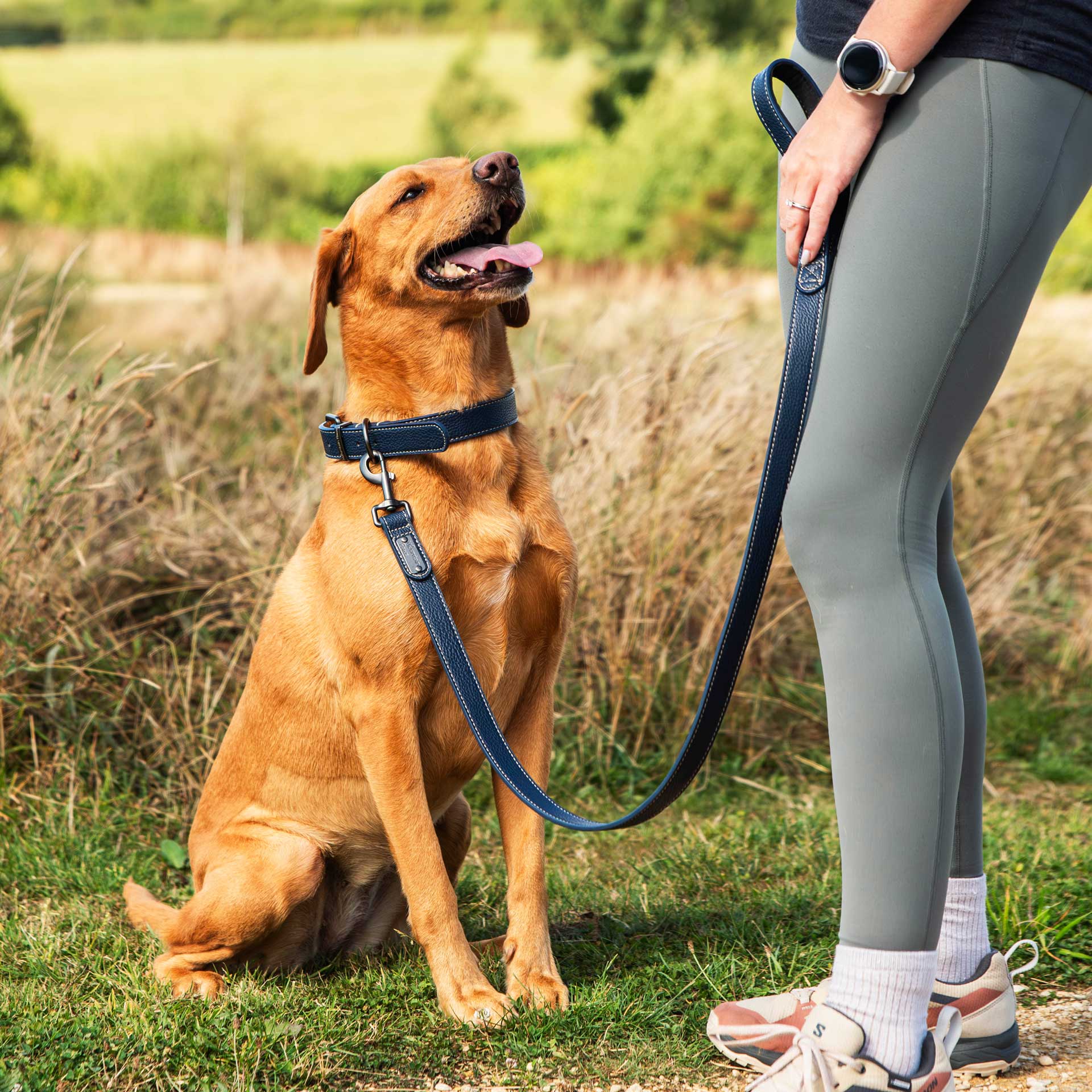 Faux Leather Dog Lead - variant[Navy]