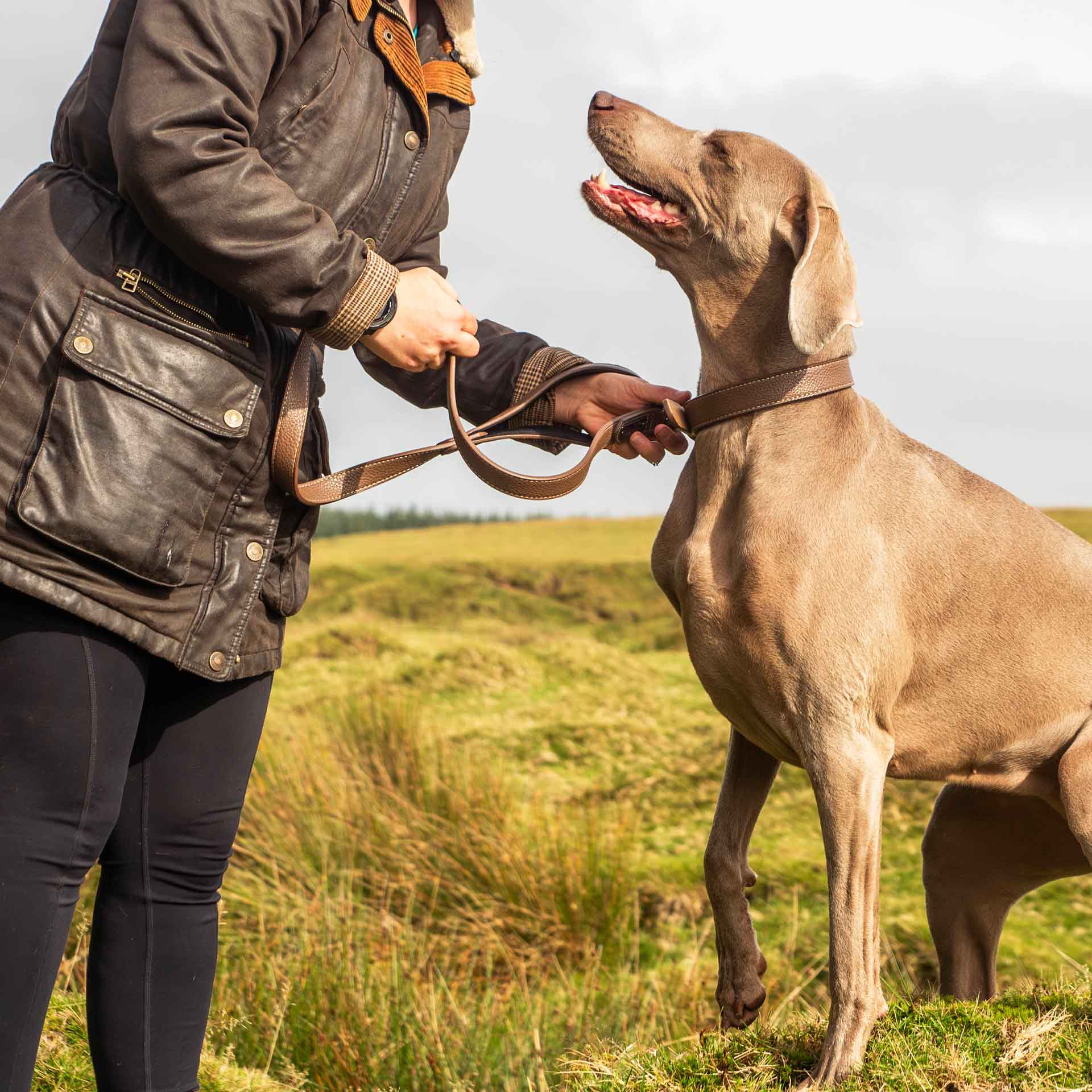 Faux Leather Dog Lead - variant[Brown]
