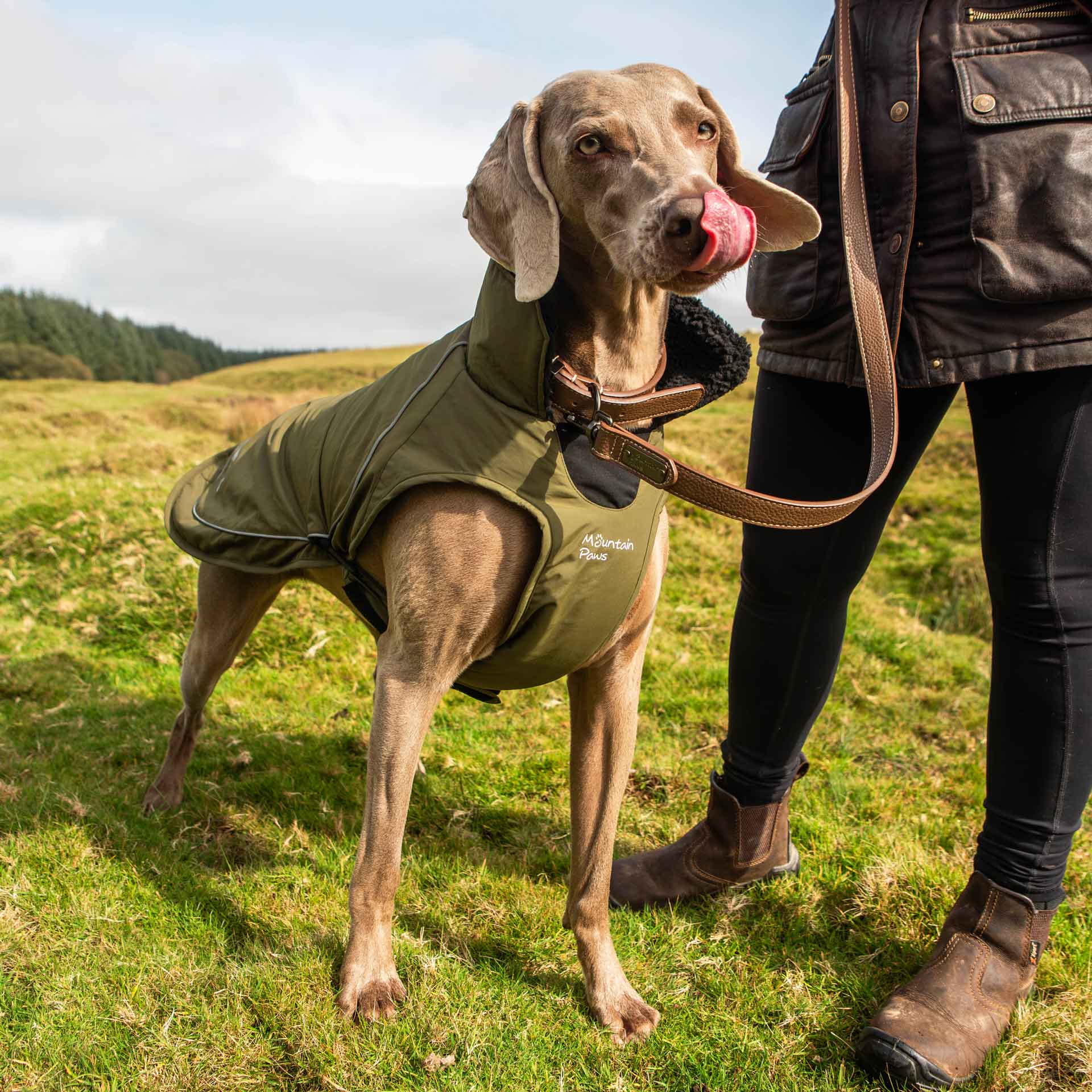 Faux Leather Dog Lead - variant[Brown]