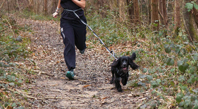 Bungee Dog Lead - variant[Black]
