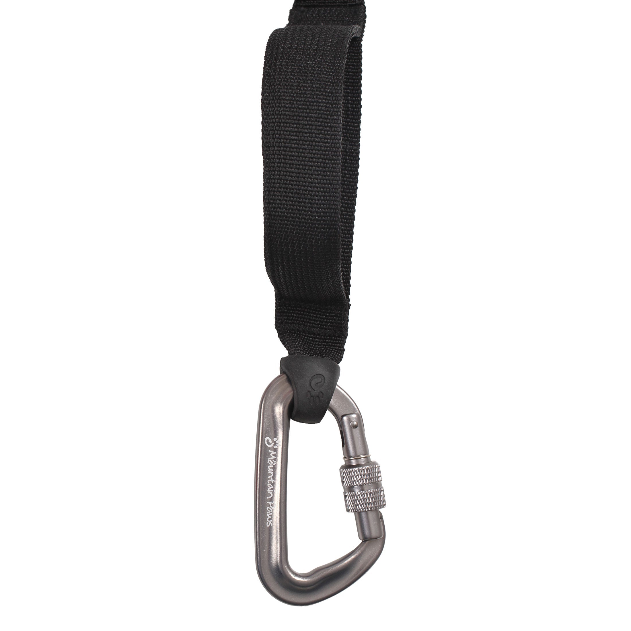 Bungee Dog Lead - variant[Black]