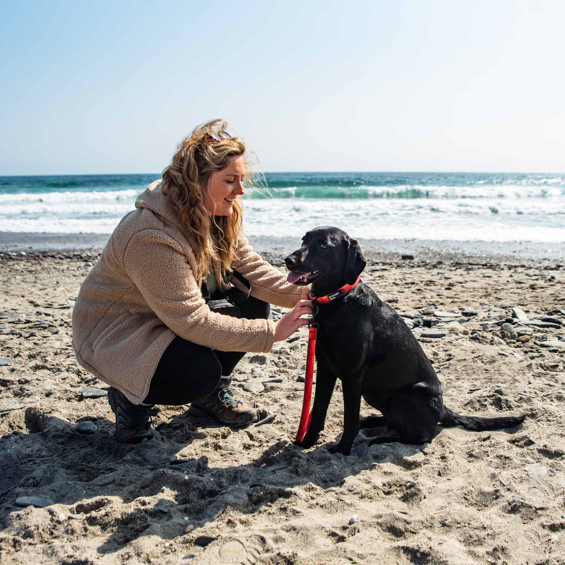 Waterproof Dog Collar - variant[Orange]
