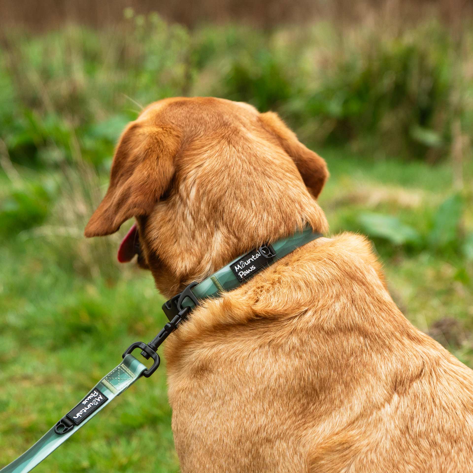 Waterproof Dog Collar - variant[Green]
