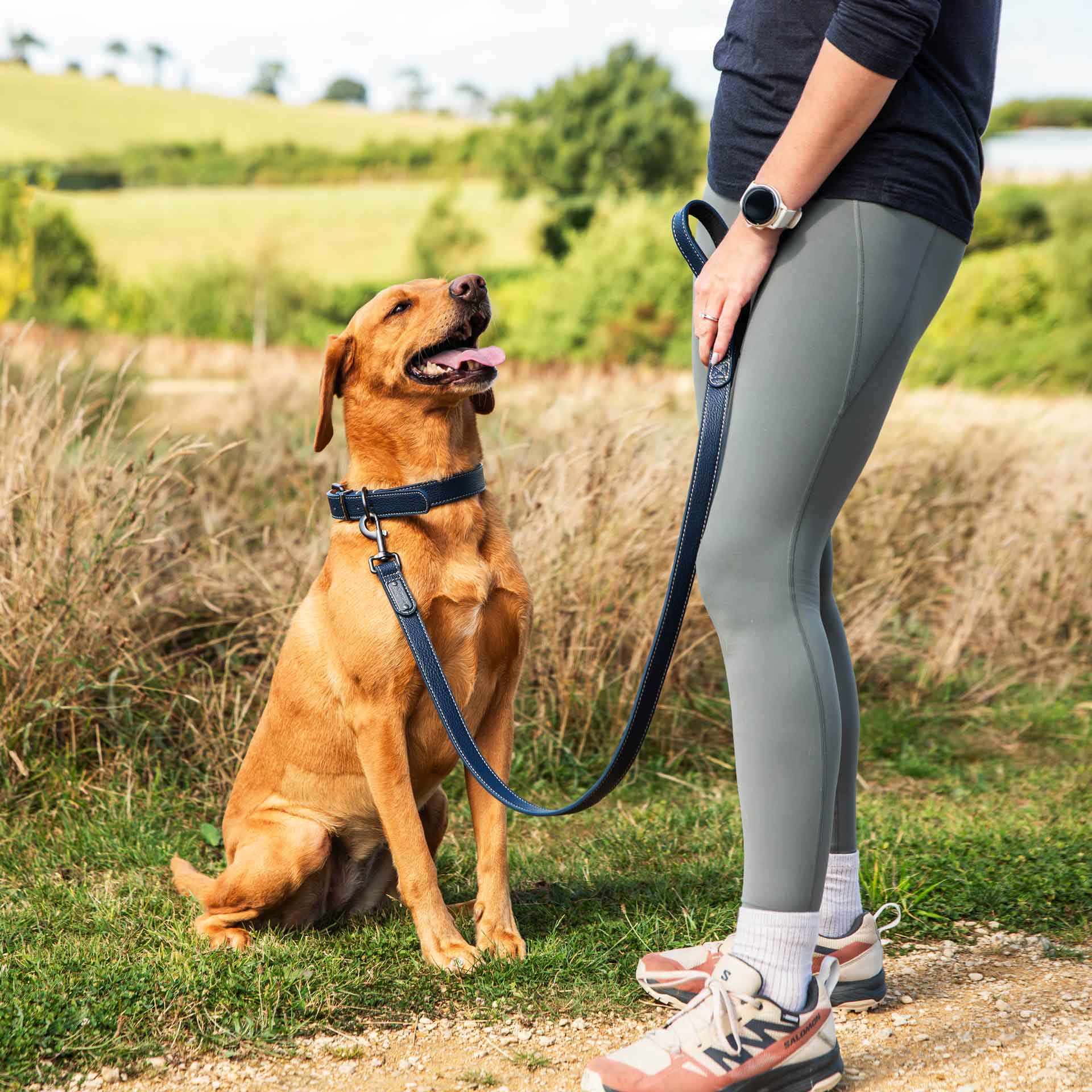Faux Leather Dog Collar - variant[Navy]