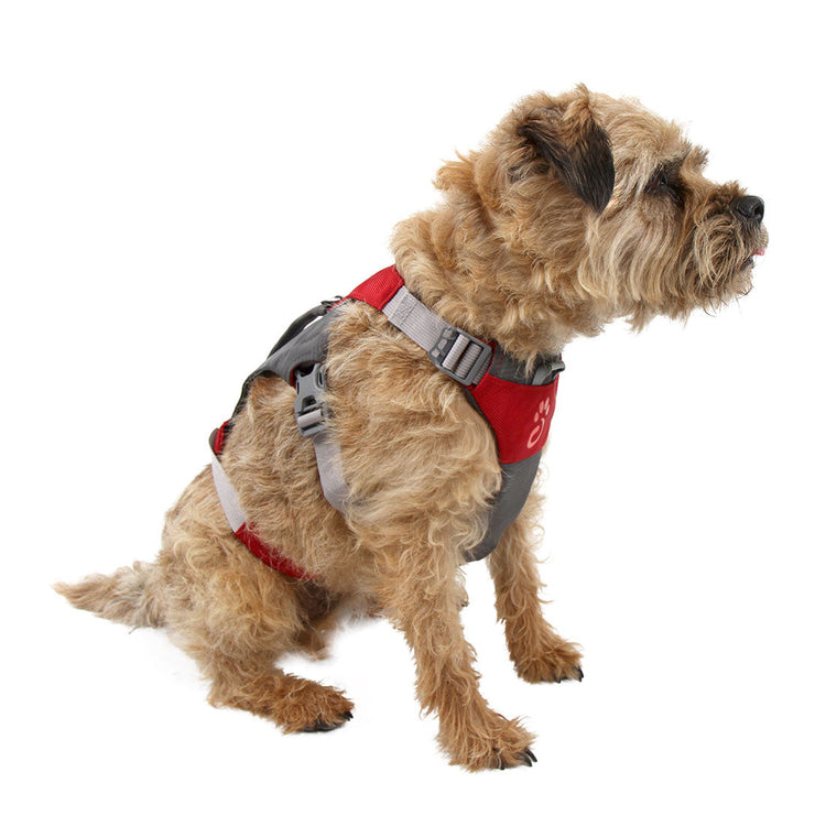 Dog Hiking Harness Hiking Dog Harness Mountain Paws
