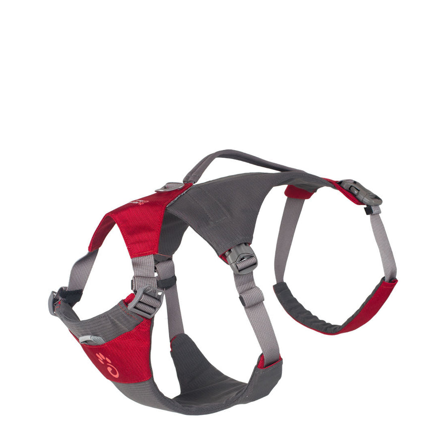 Illustration of Hiking Dog Harness With Built-In First Aid Kit