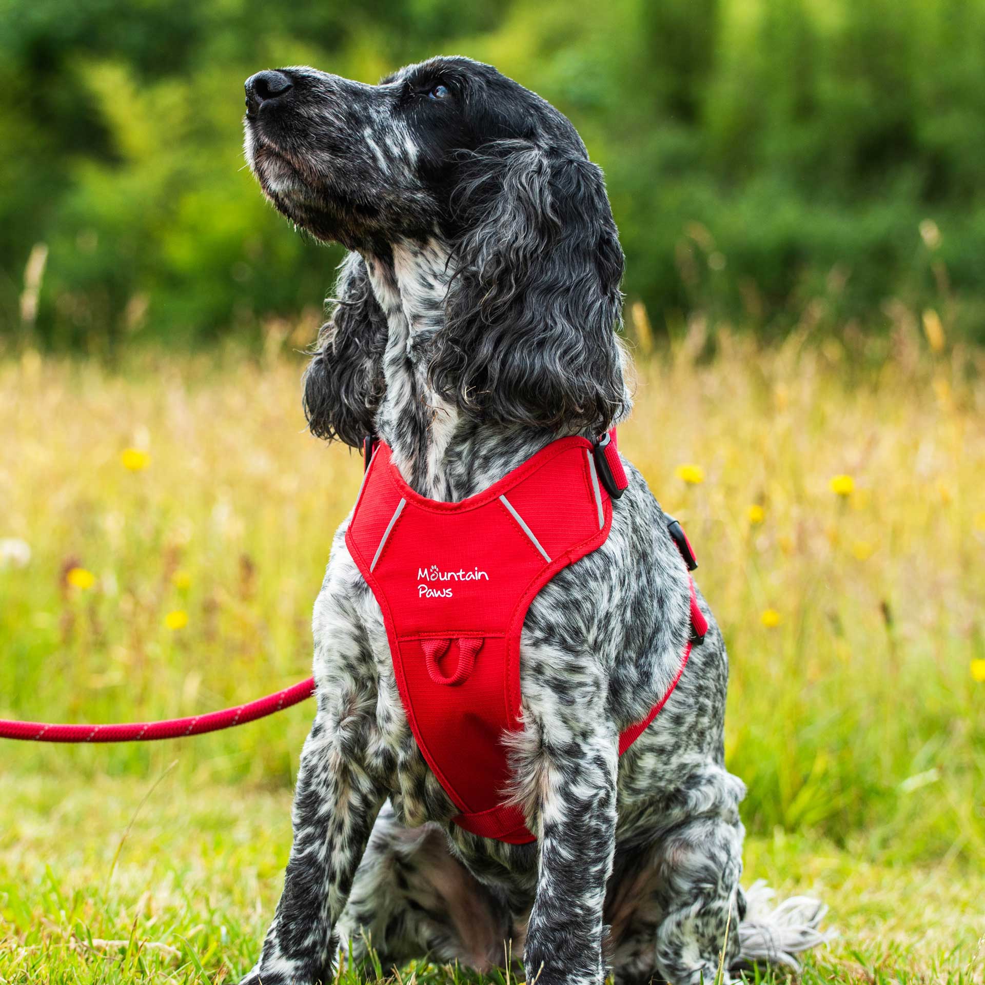 Dog Harness - variant[Red]