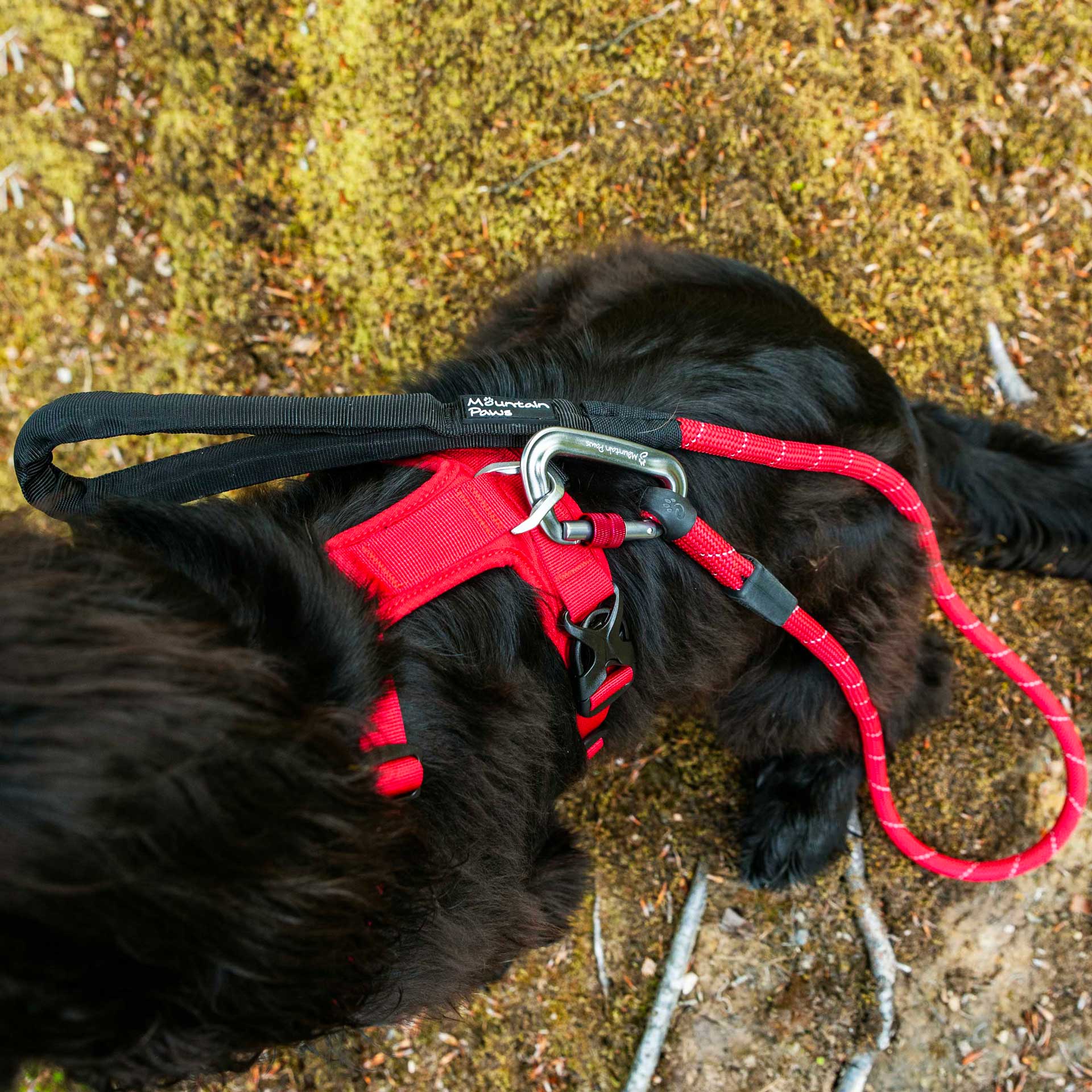 Dog Harness - variant[Red]