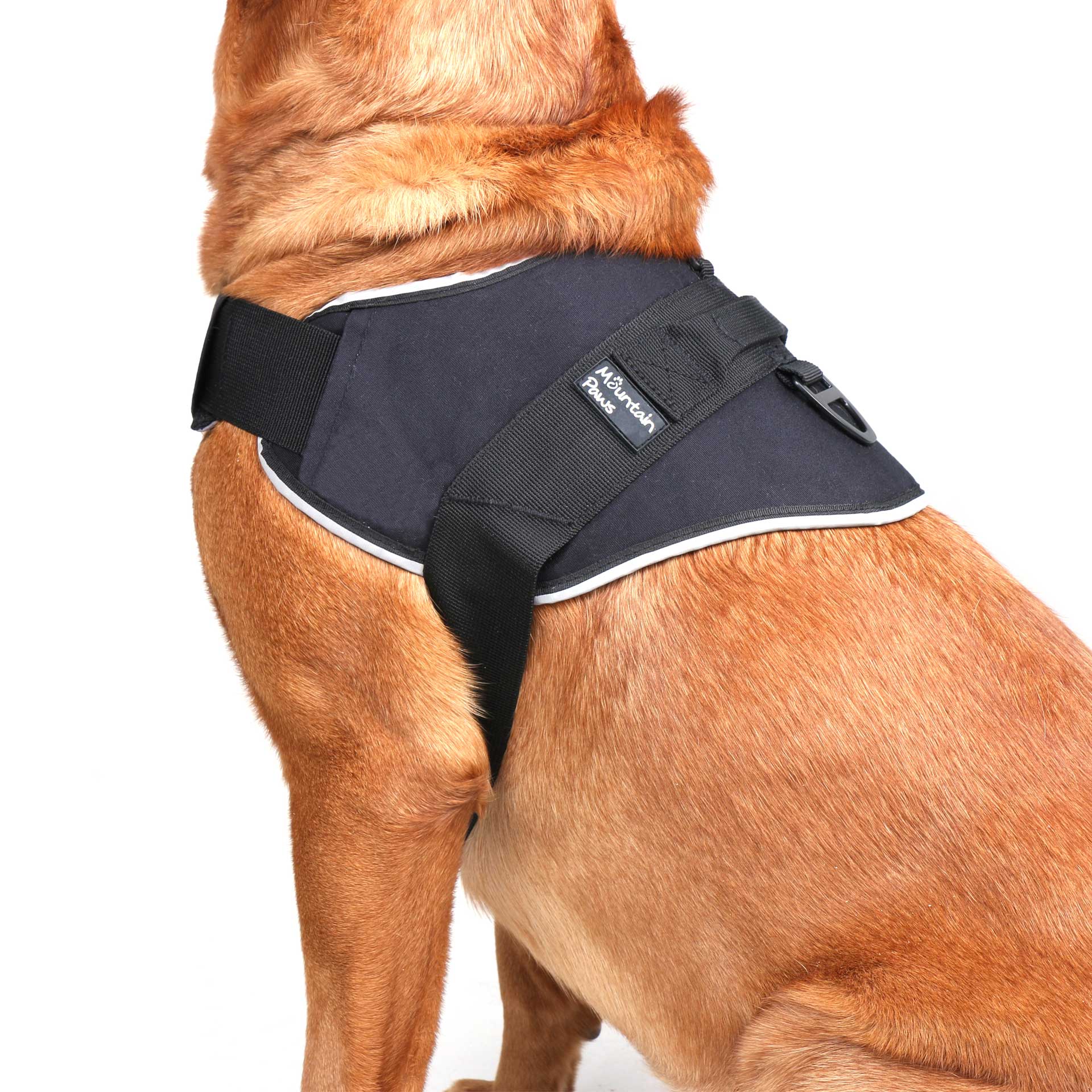 Extra Tough Dog Harness