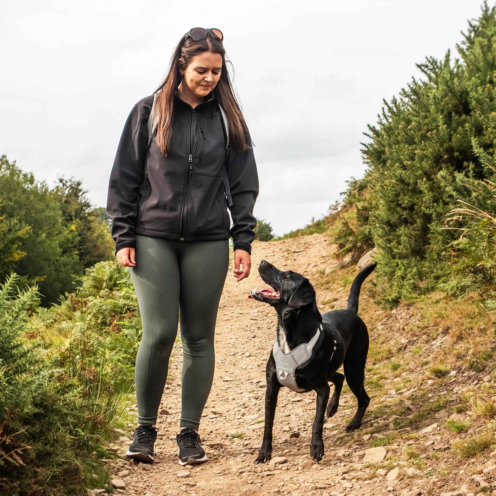 Dog Harness - variant[Reflective]