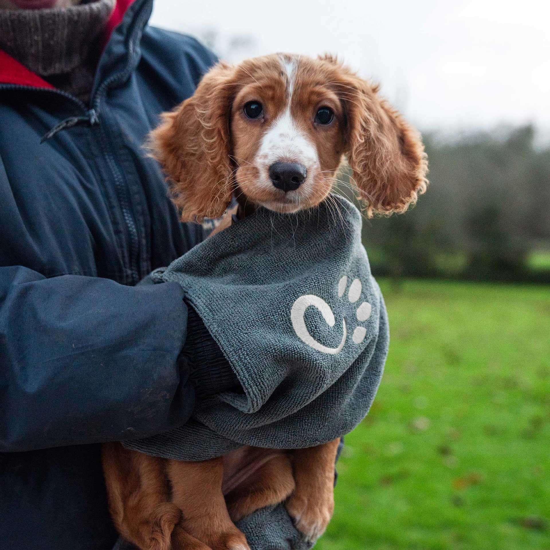 Dog Towel - variant[Large]