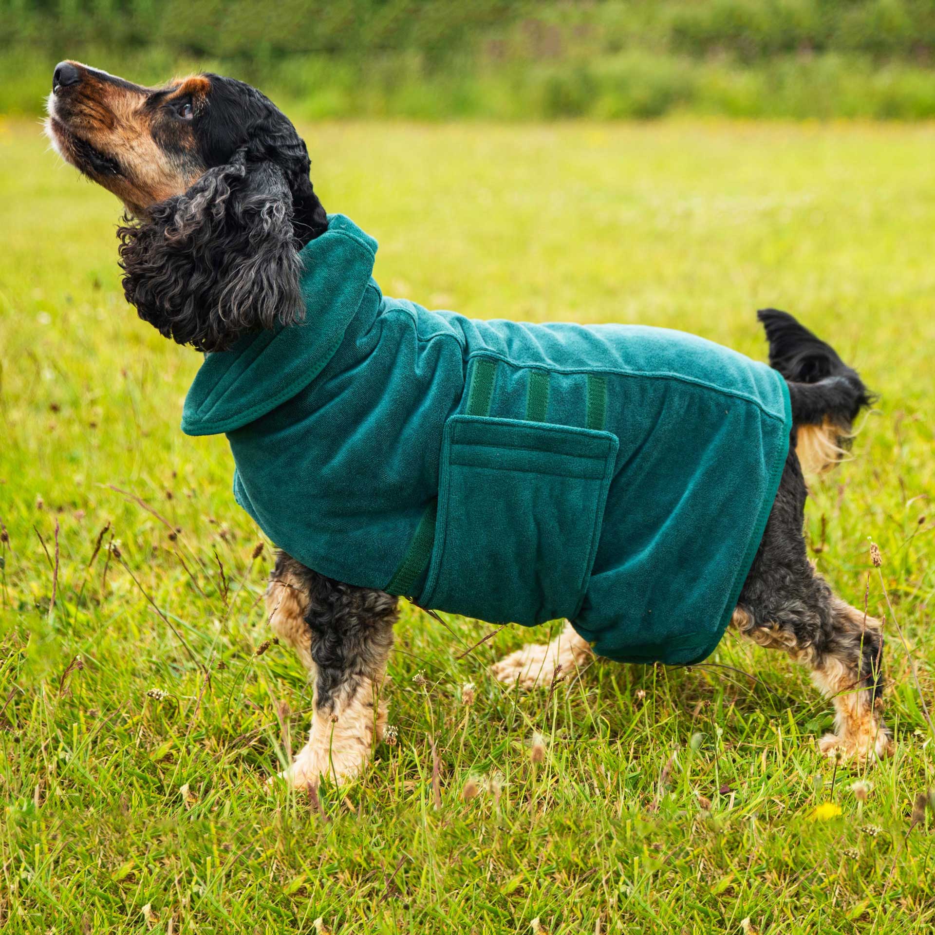 Dog In A Robe Dog Robe | Microfibre Dog Robe | Mountain Paws