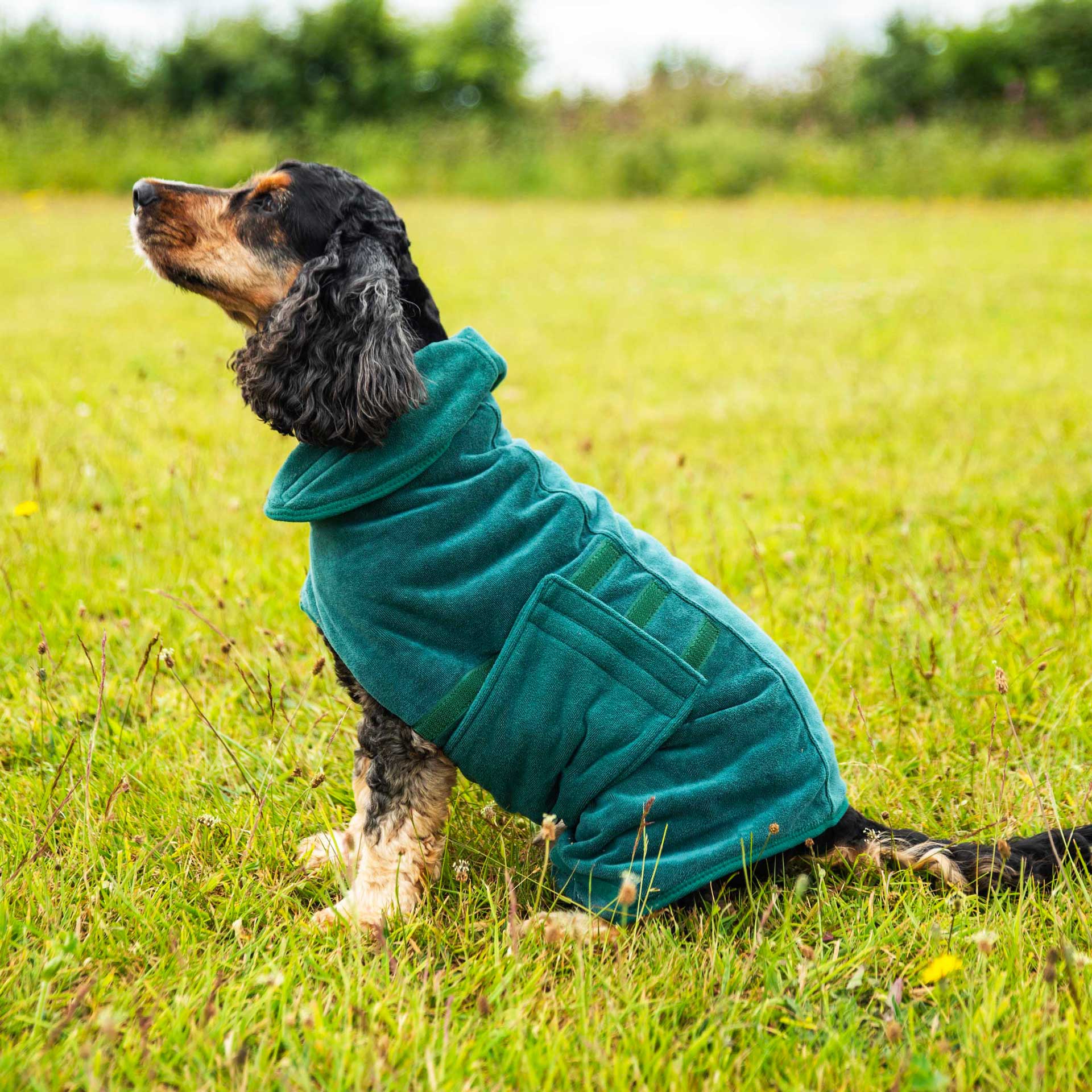 Dog Robe - variant[Green]