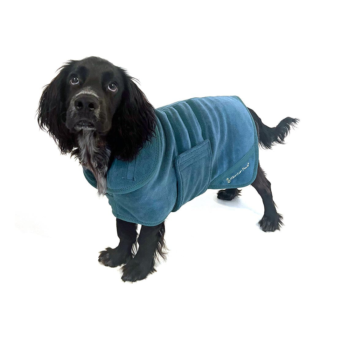 Dog Robe - variant[Blue]