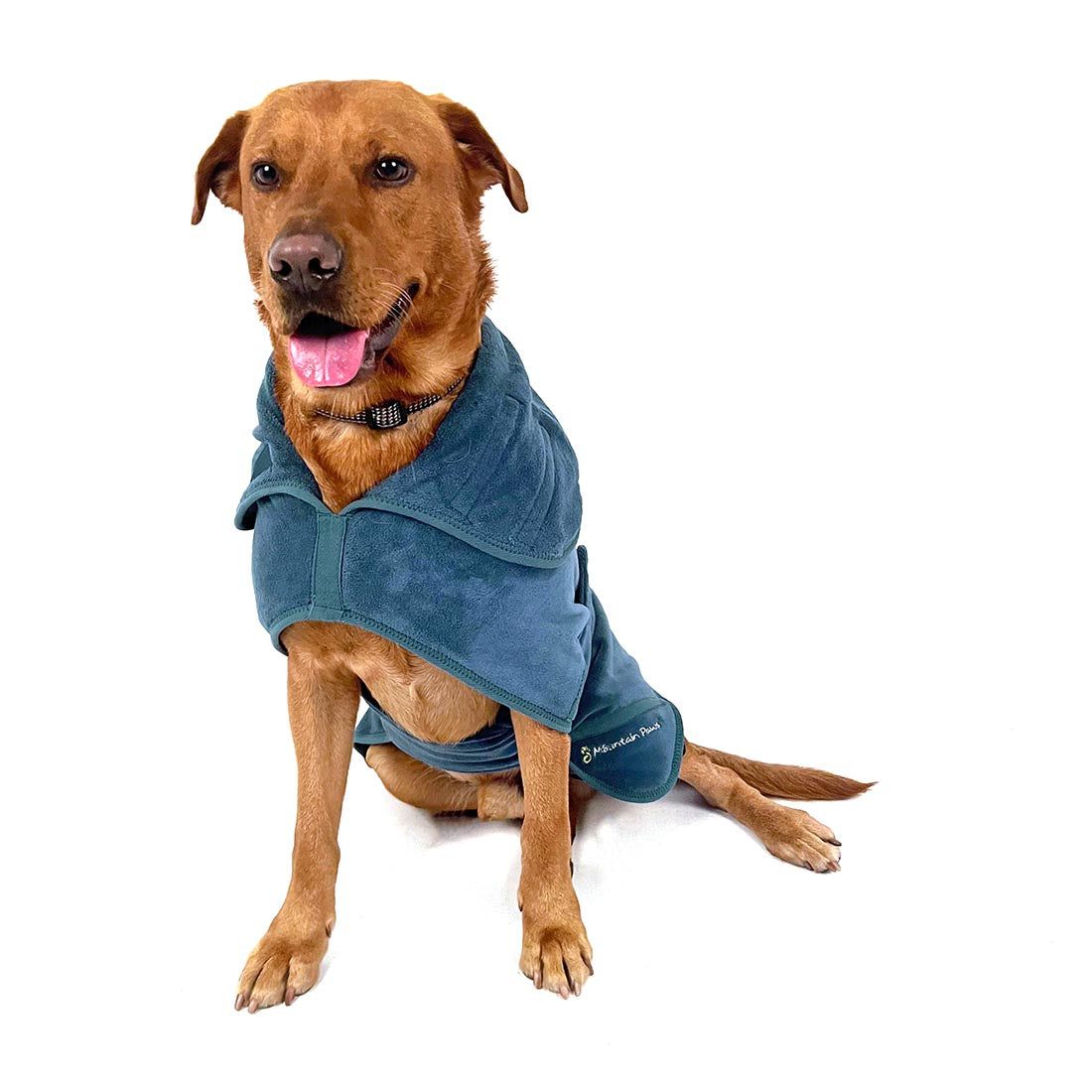 Dog Robe - variant[Blue]