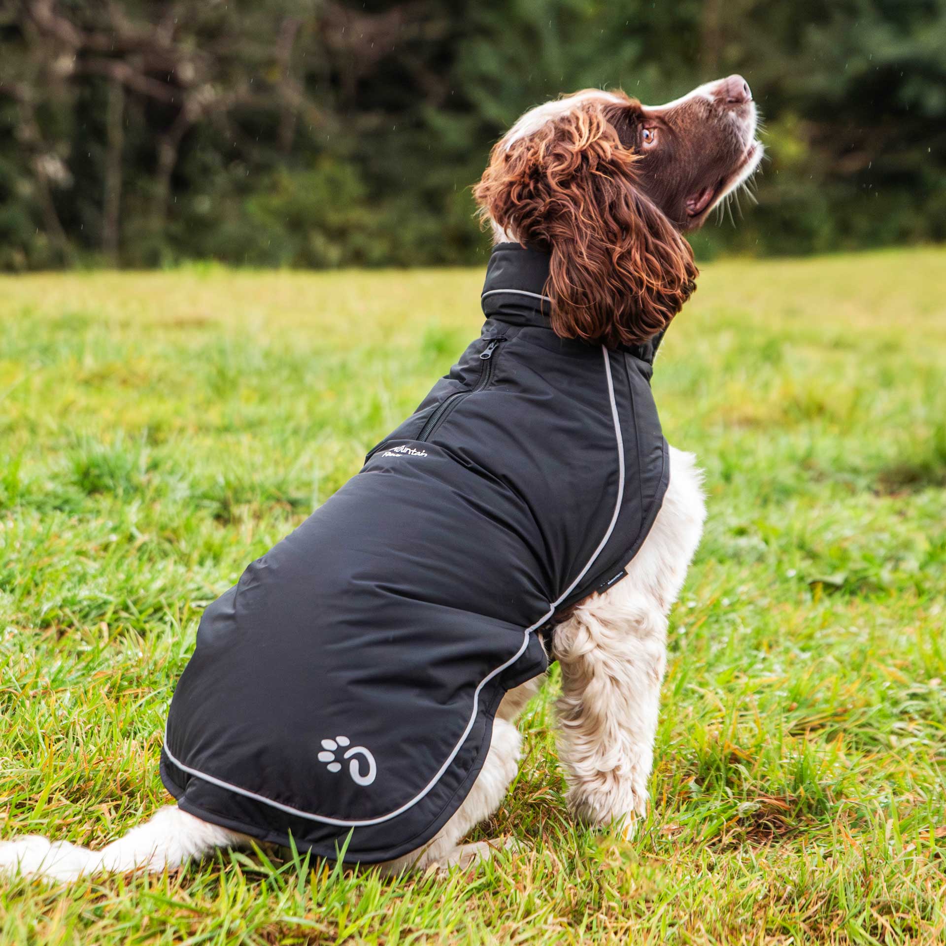 Fleece Lined Dog Coat | Mountain Paws