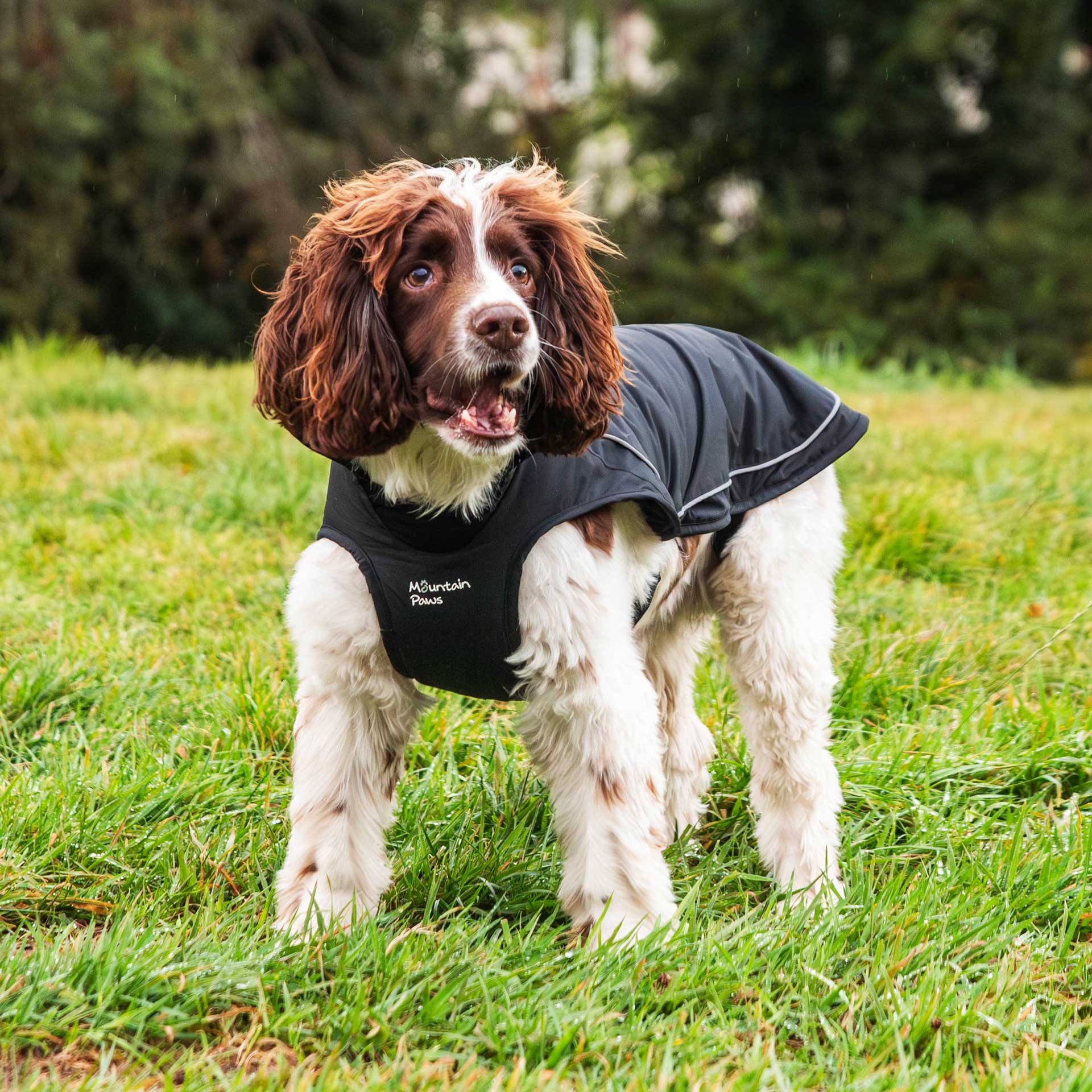 Fleece Lined Dog Coat - variant[Black]