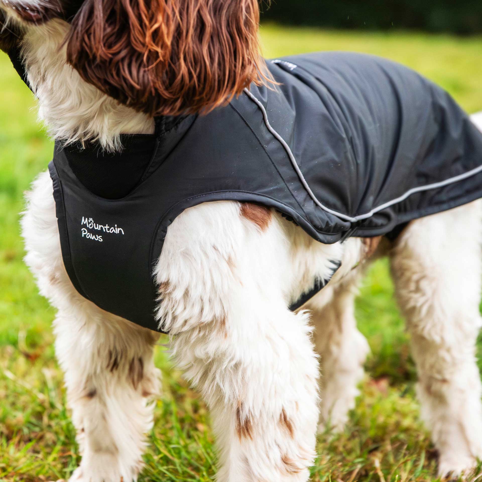 Fleece Lined Dog Coat - variant[Black]