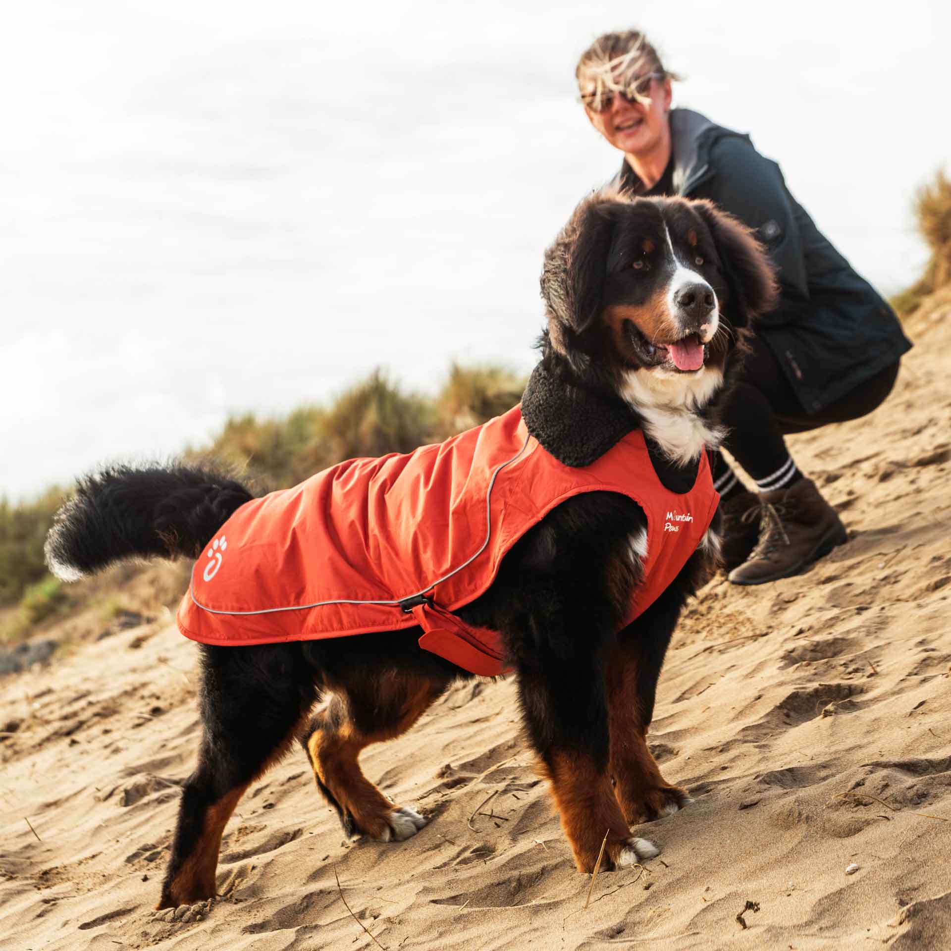 Fleece Lined Dog Coat - variant[Orange]