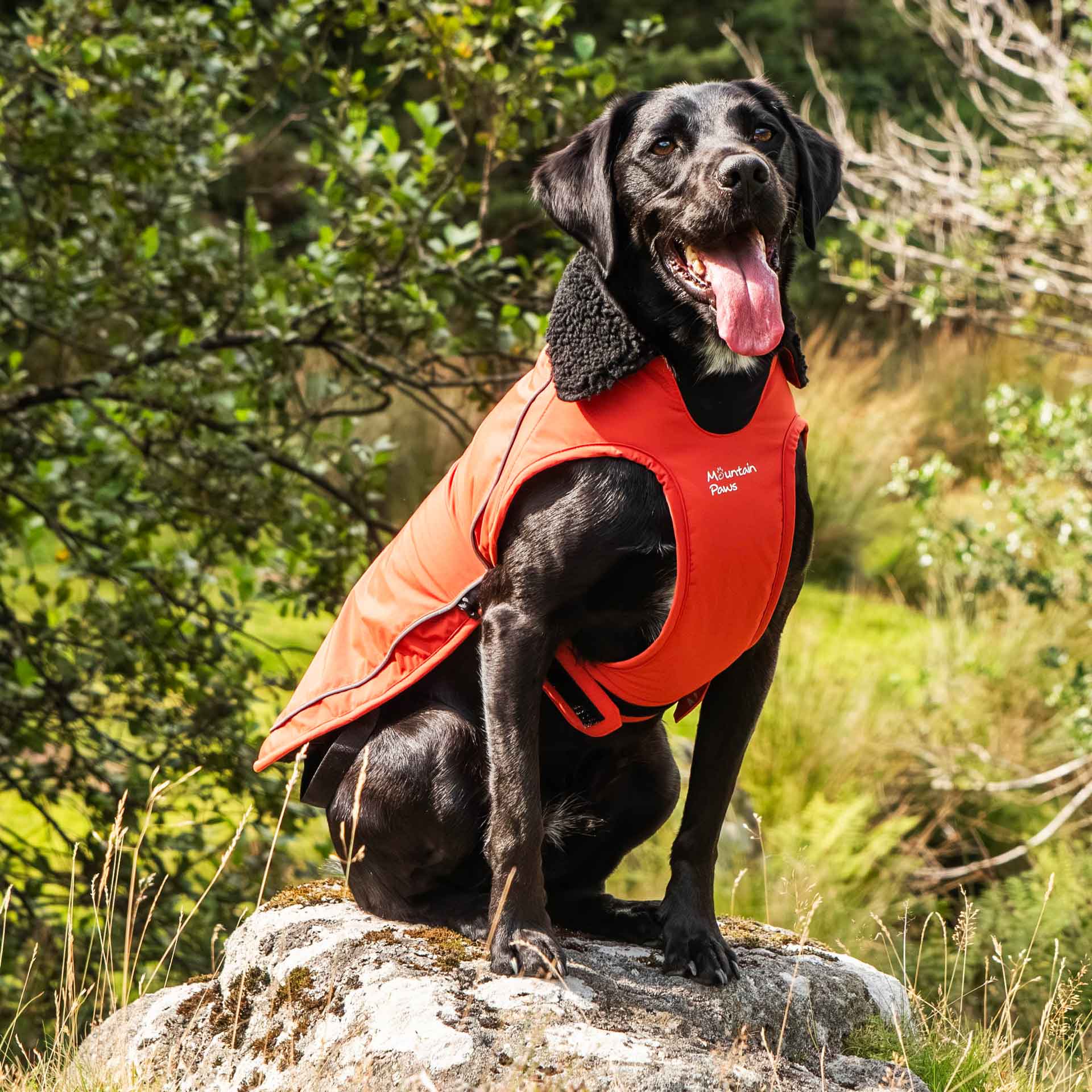 Fleece Lined Dog Coat - variant[Orange]