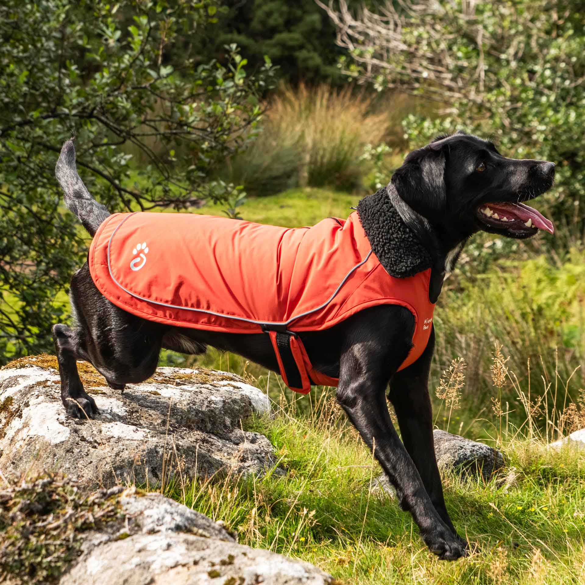 Fleece Lined Dog Coat - variant[Orange]