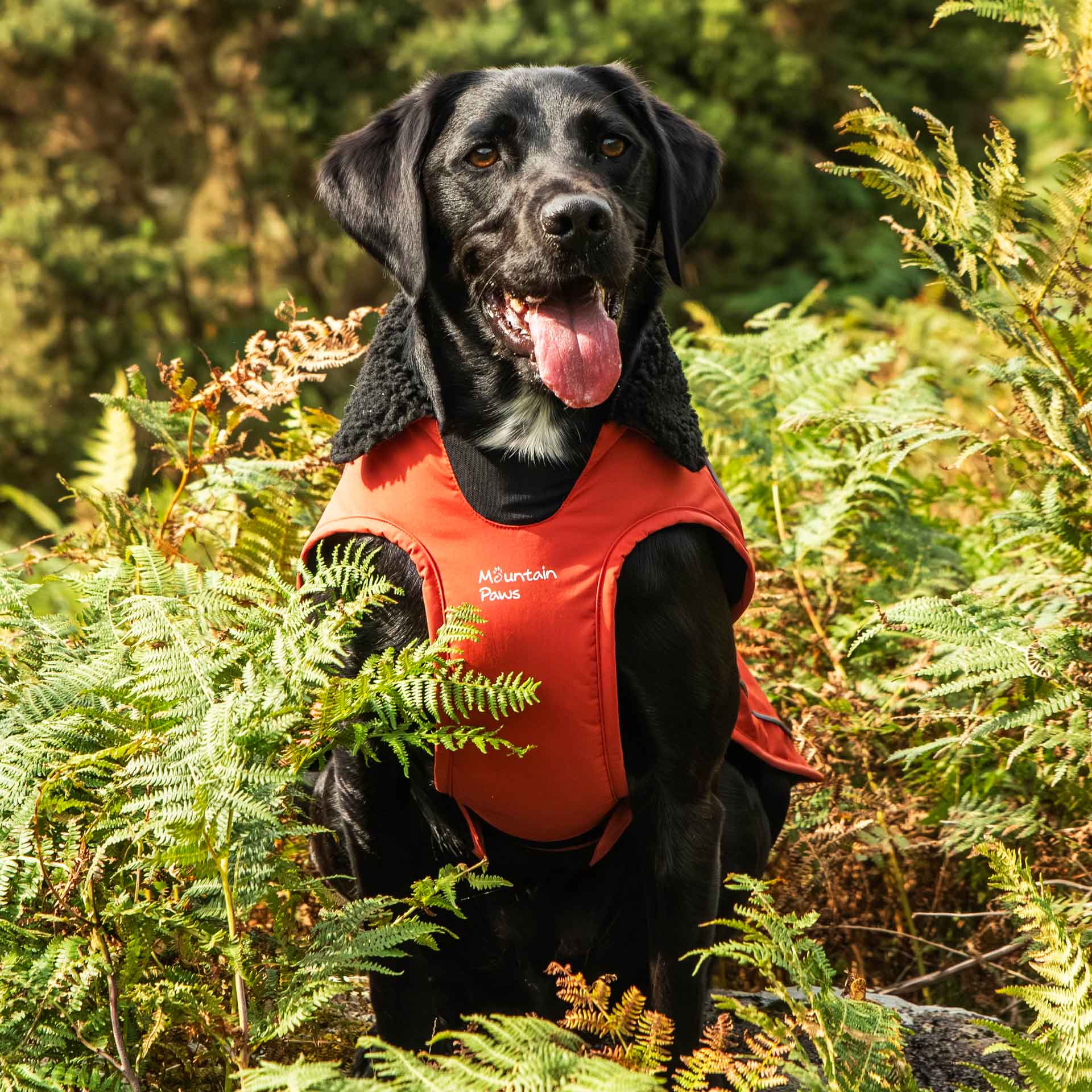 Fleece Lined Dog Coat - variant[Orange]