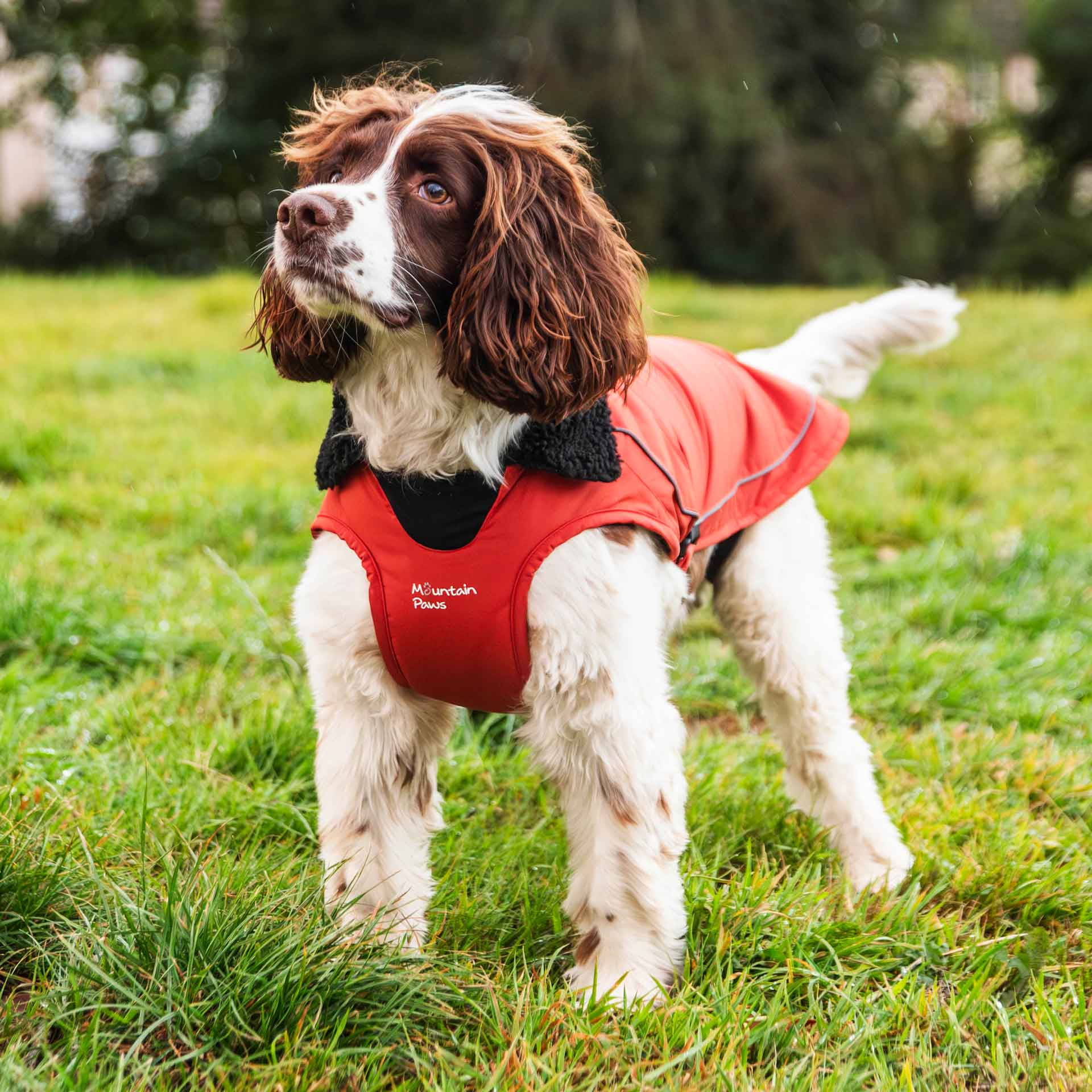 Fleece Lined Dog Coat - variant[Orange]