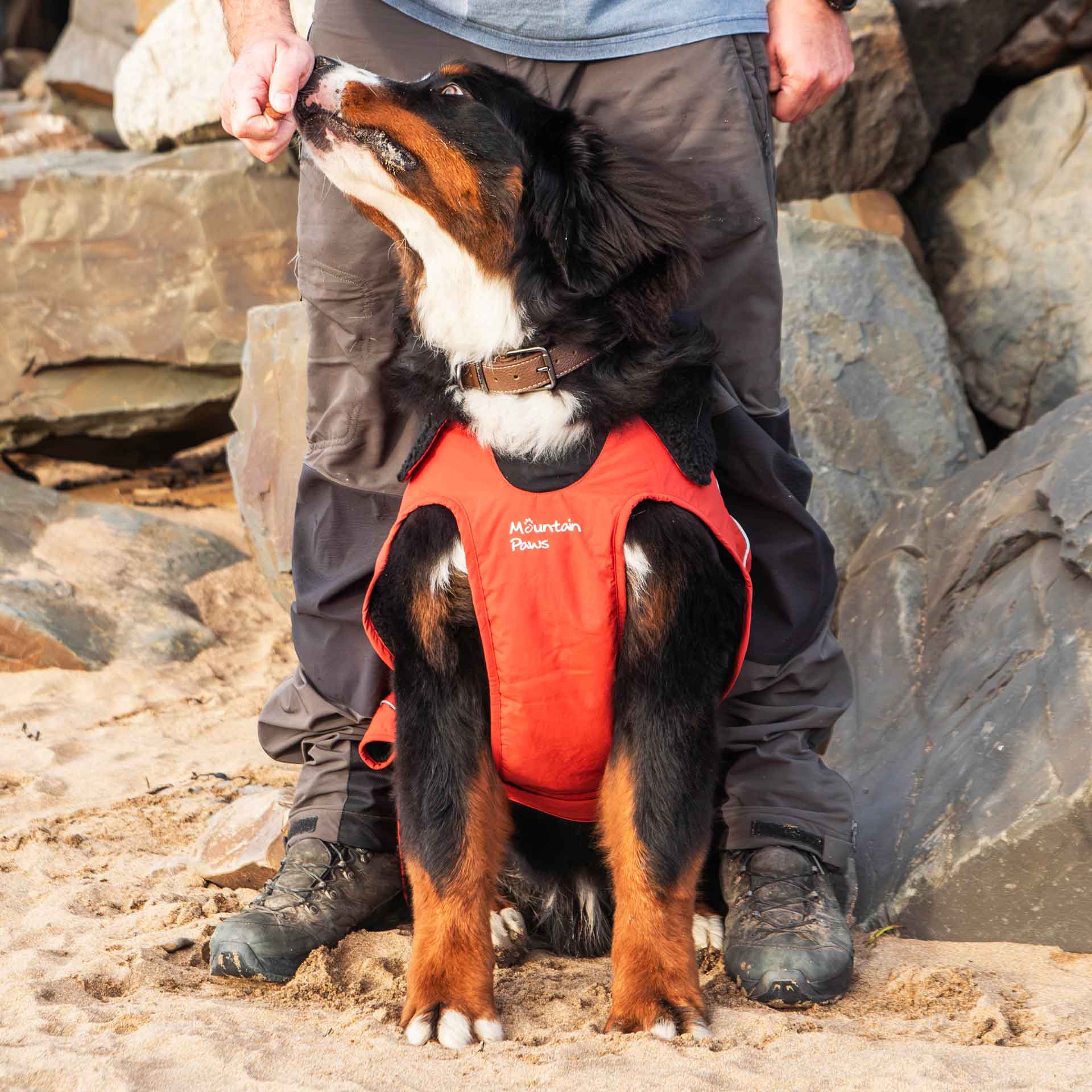 Fleece Lined Dog Coat - variant[Orange]