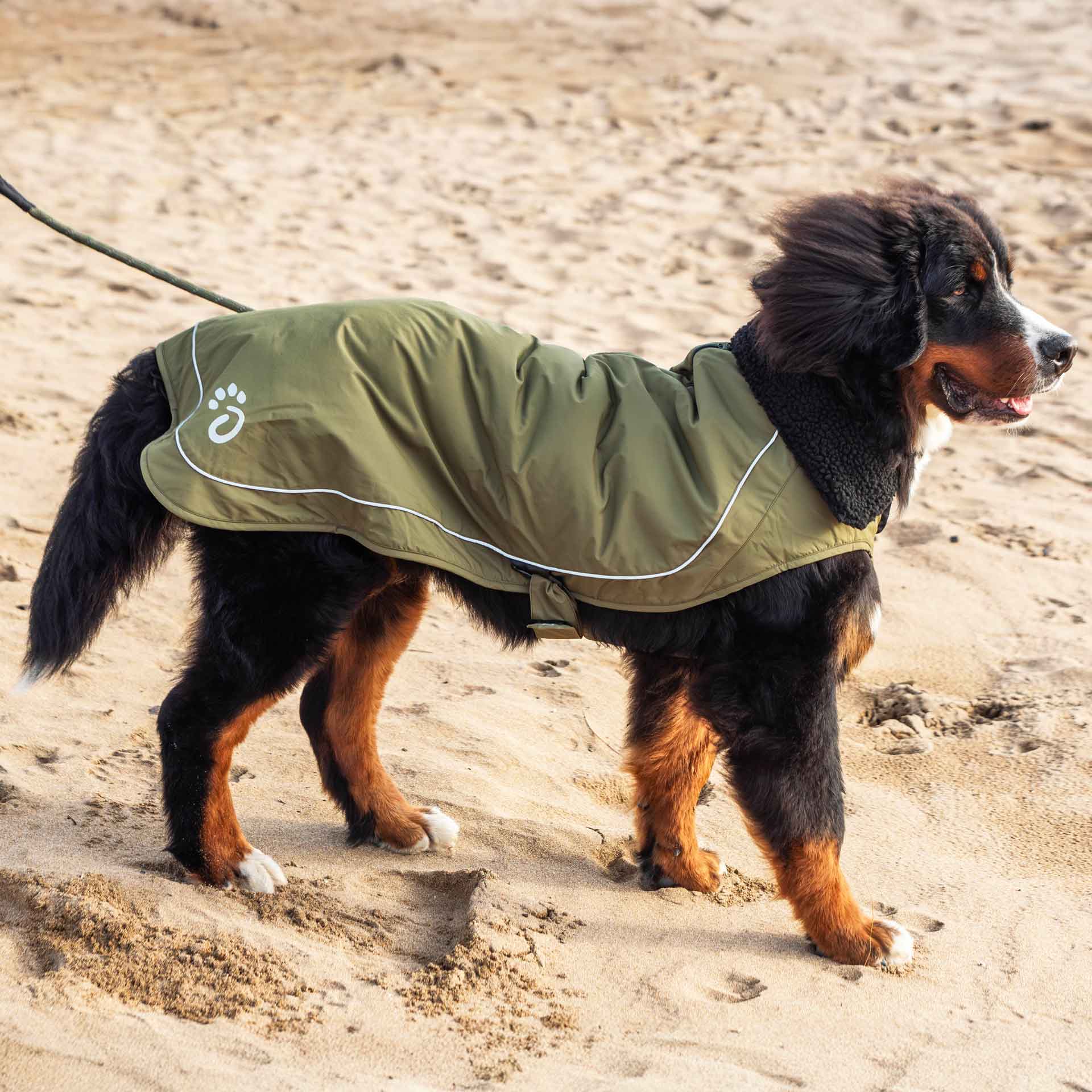 Fleece Lined Dog Coat - variant[Green]