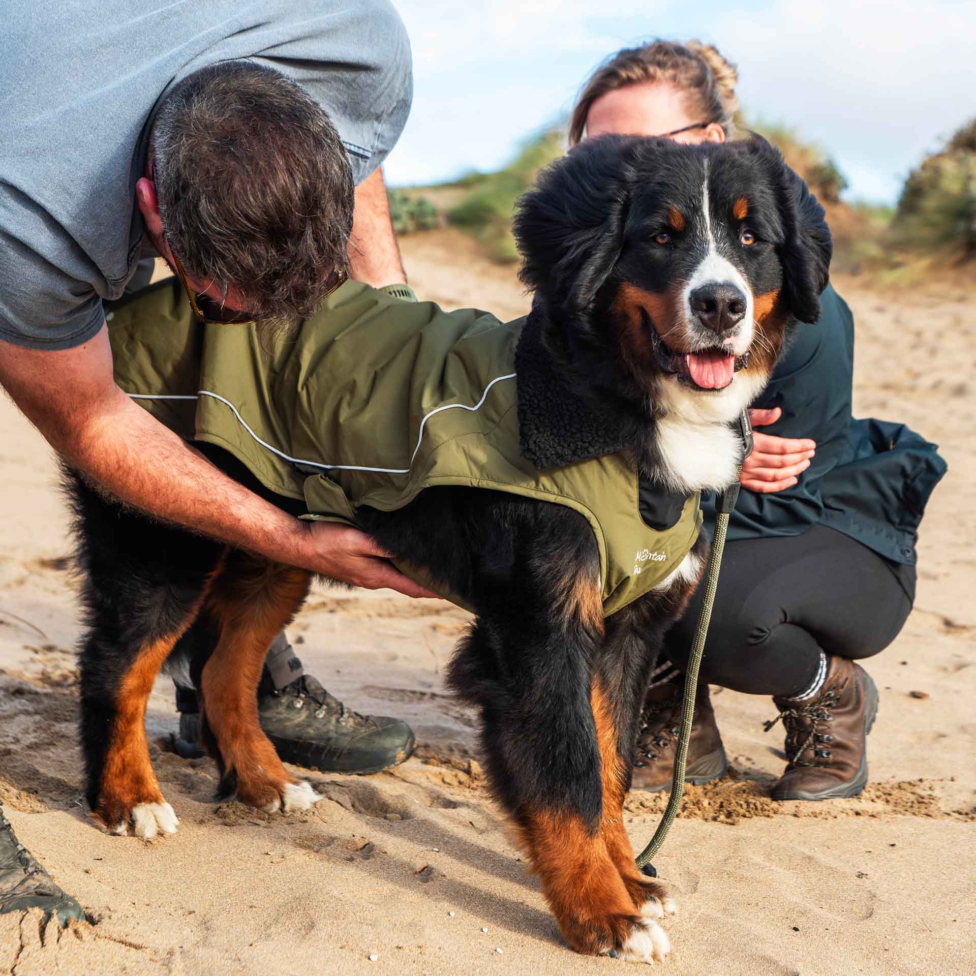 Fleece Lined Dog Coat - variant[Green]