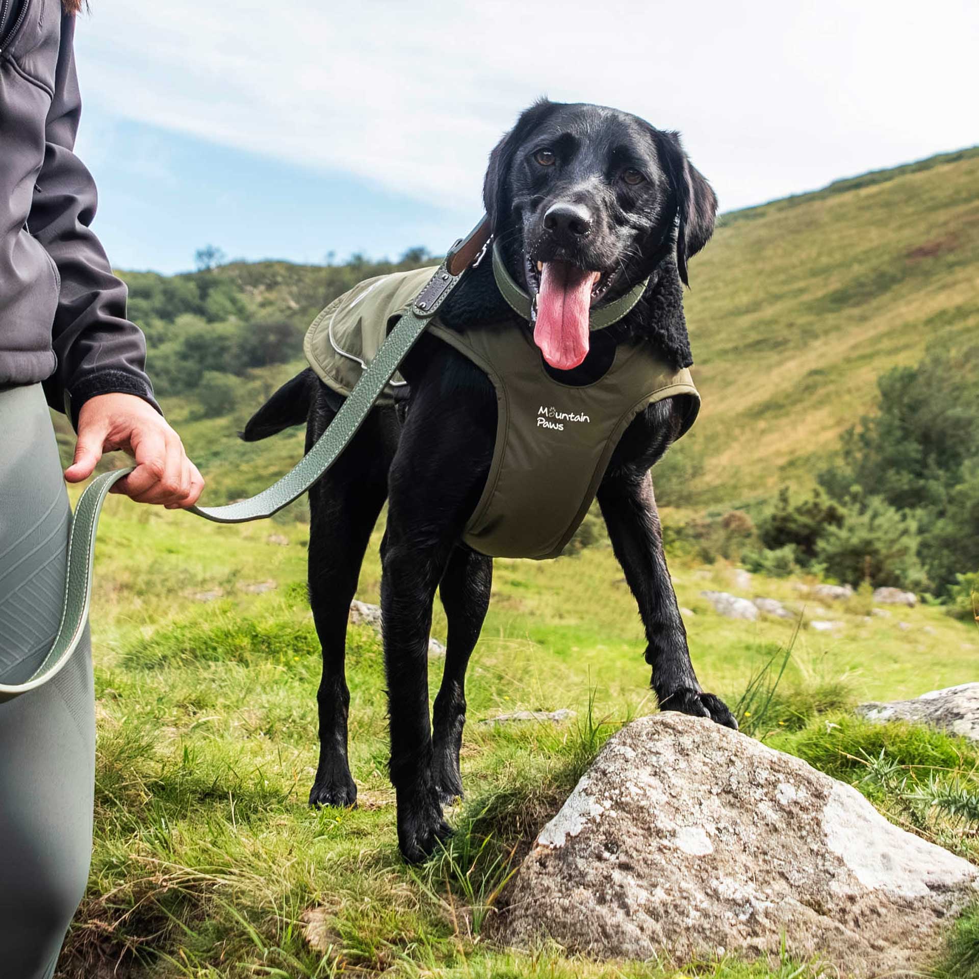 Fleece Lined Dog Coat - variant[Green]