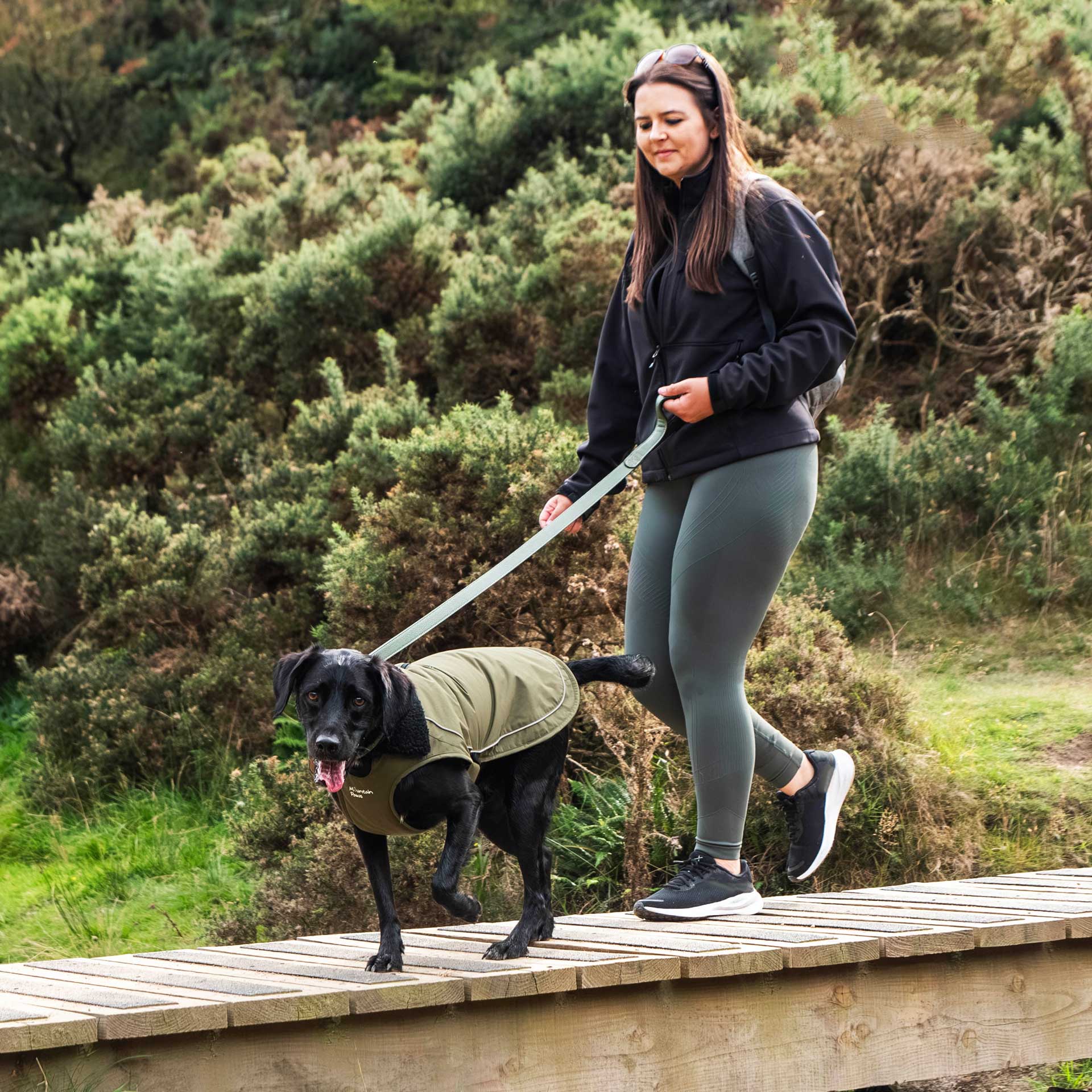 Fleece Lined Dog Coat - variant[Green]